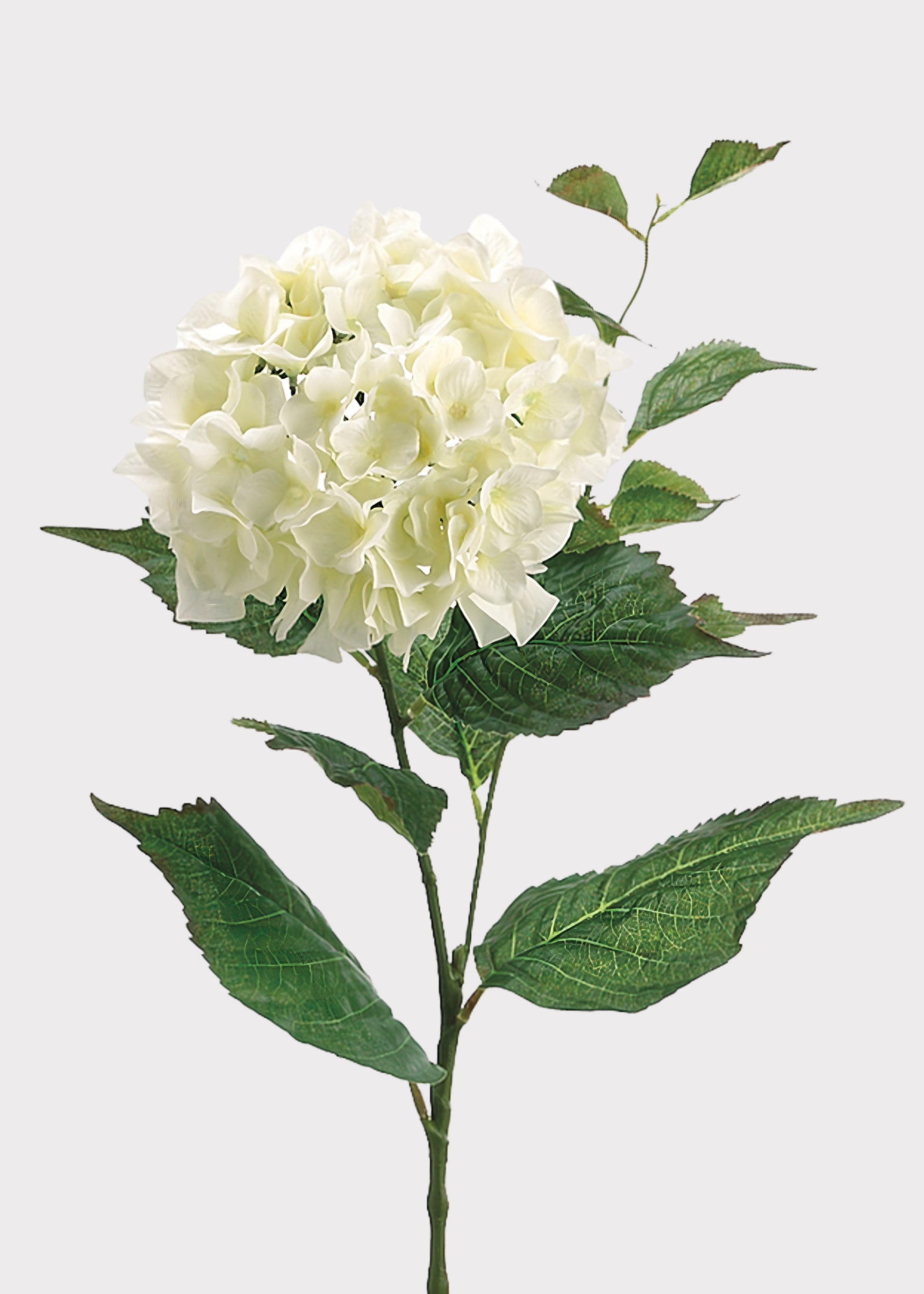 Faux Hydrangea Flower in Cream White