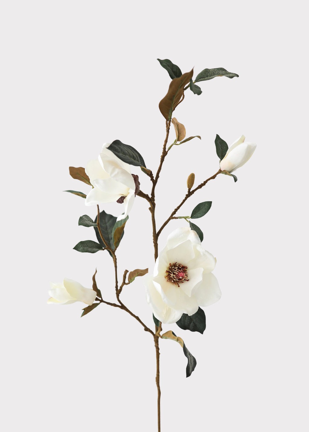 Faux Spring Flowers Magnolia Branch in Cream at Afloral