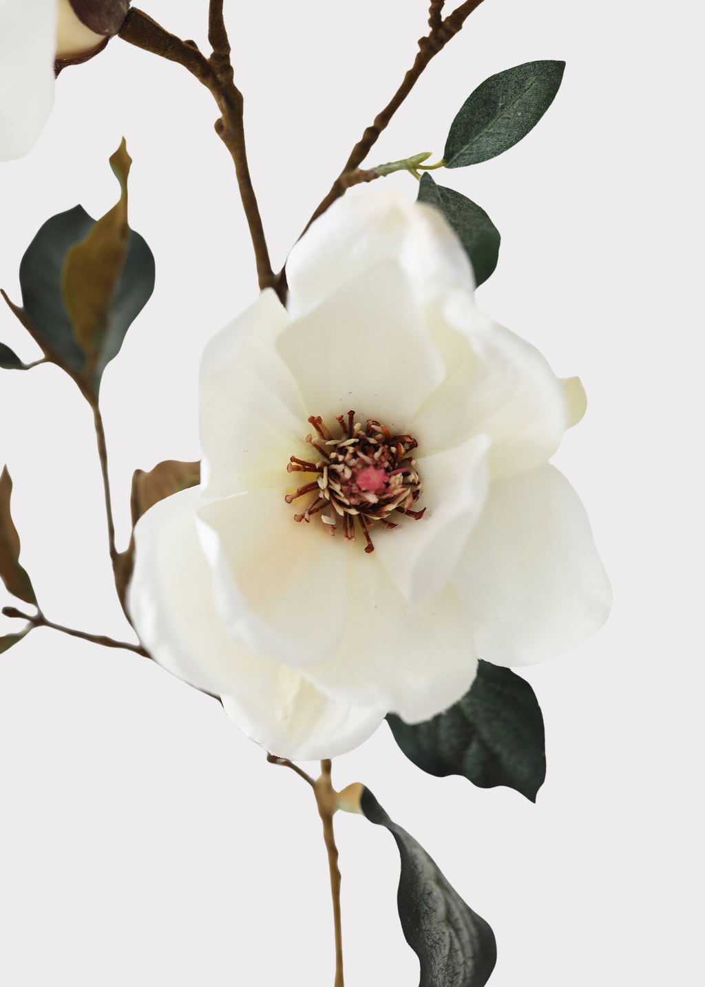 Close-up of Faux Magnolia Branch in Cream at Afloral