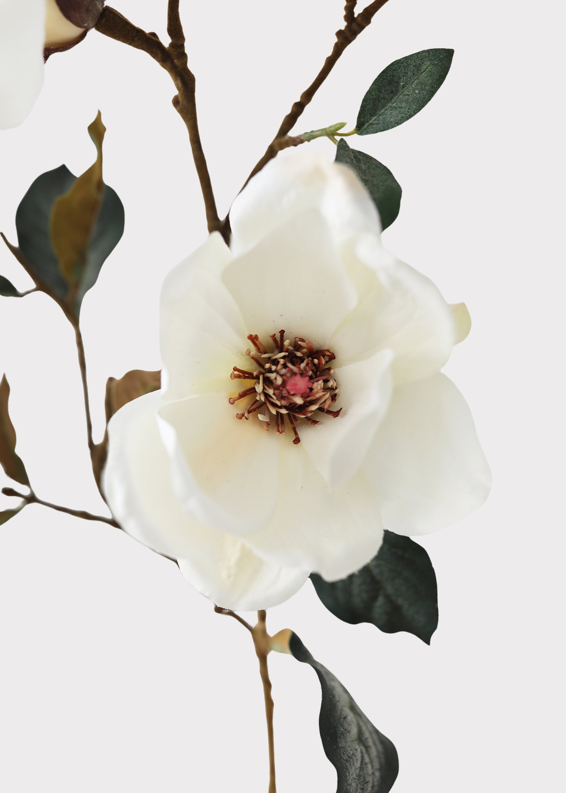 Close-up of Faux Magnolia Branch in Cream at Afloral