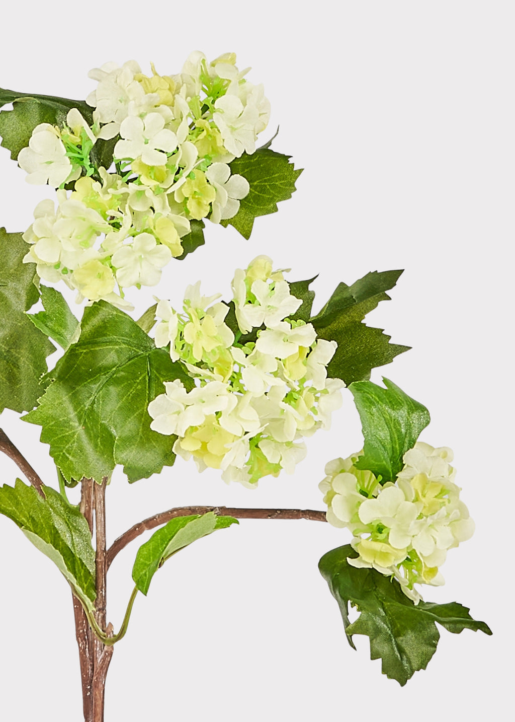 Close-up of green artificial snowball flower bloom