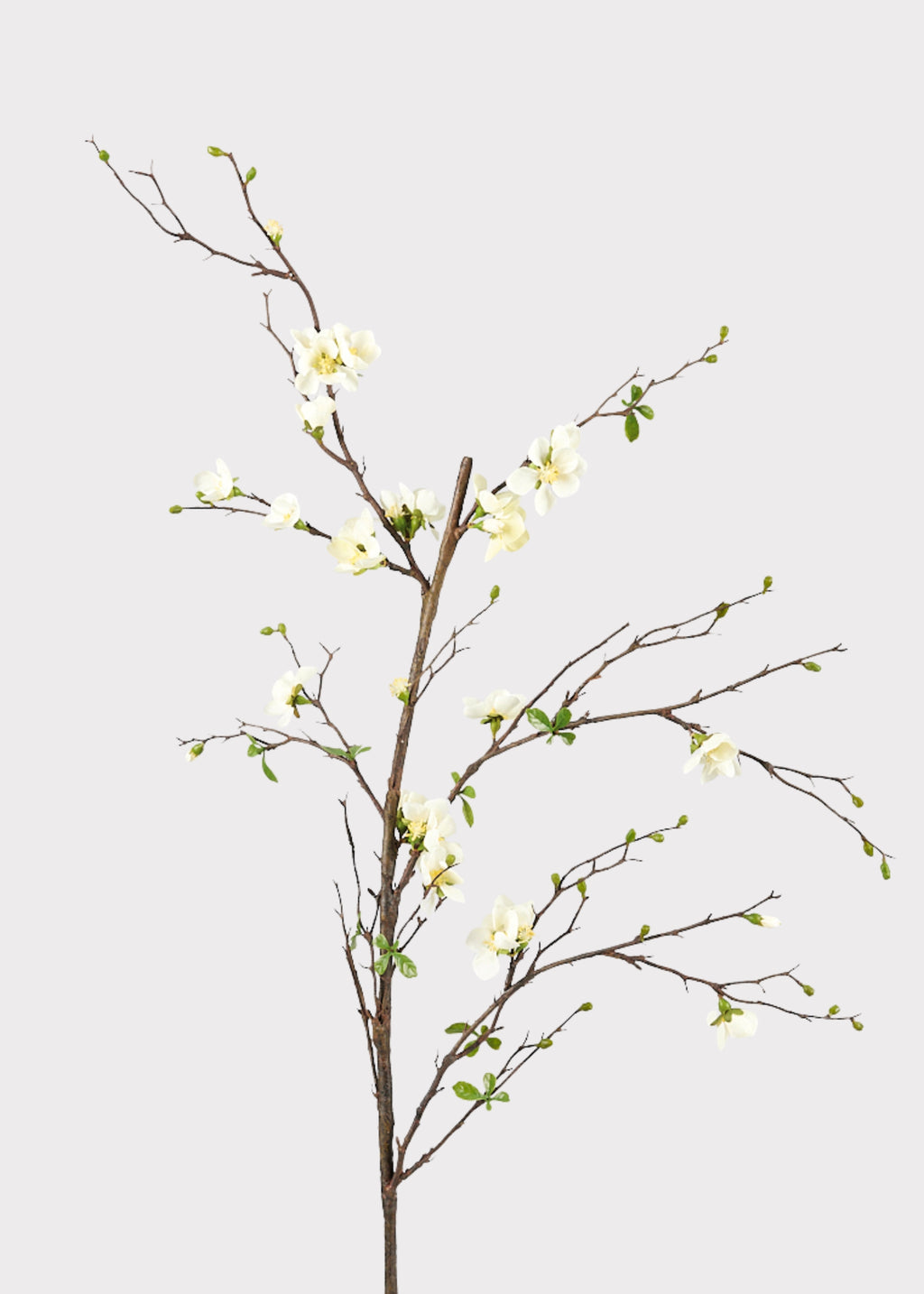 Artificial Spring Blossom Flowering Branch in Cream at Afloral