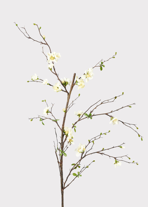 Artificial Spring Blossom Flowering Branch in Cream at Afloral
