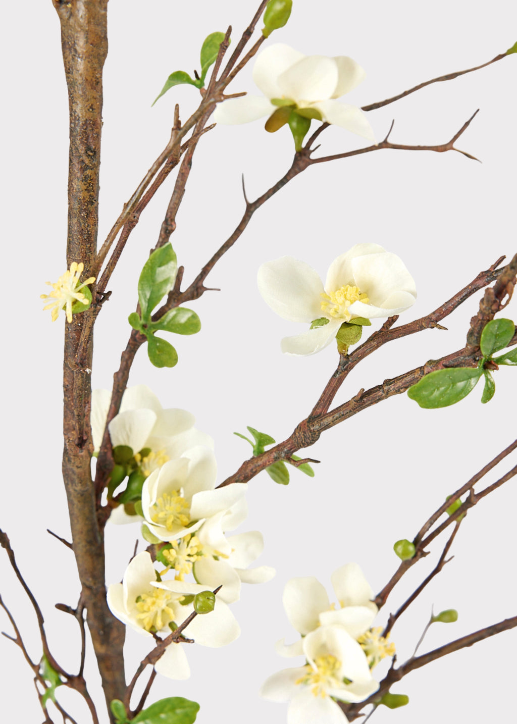 Close Up of Cream Faux Blossom Flower Branch at Afloral