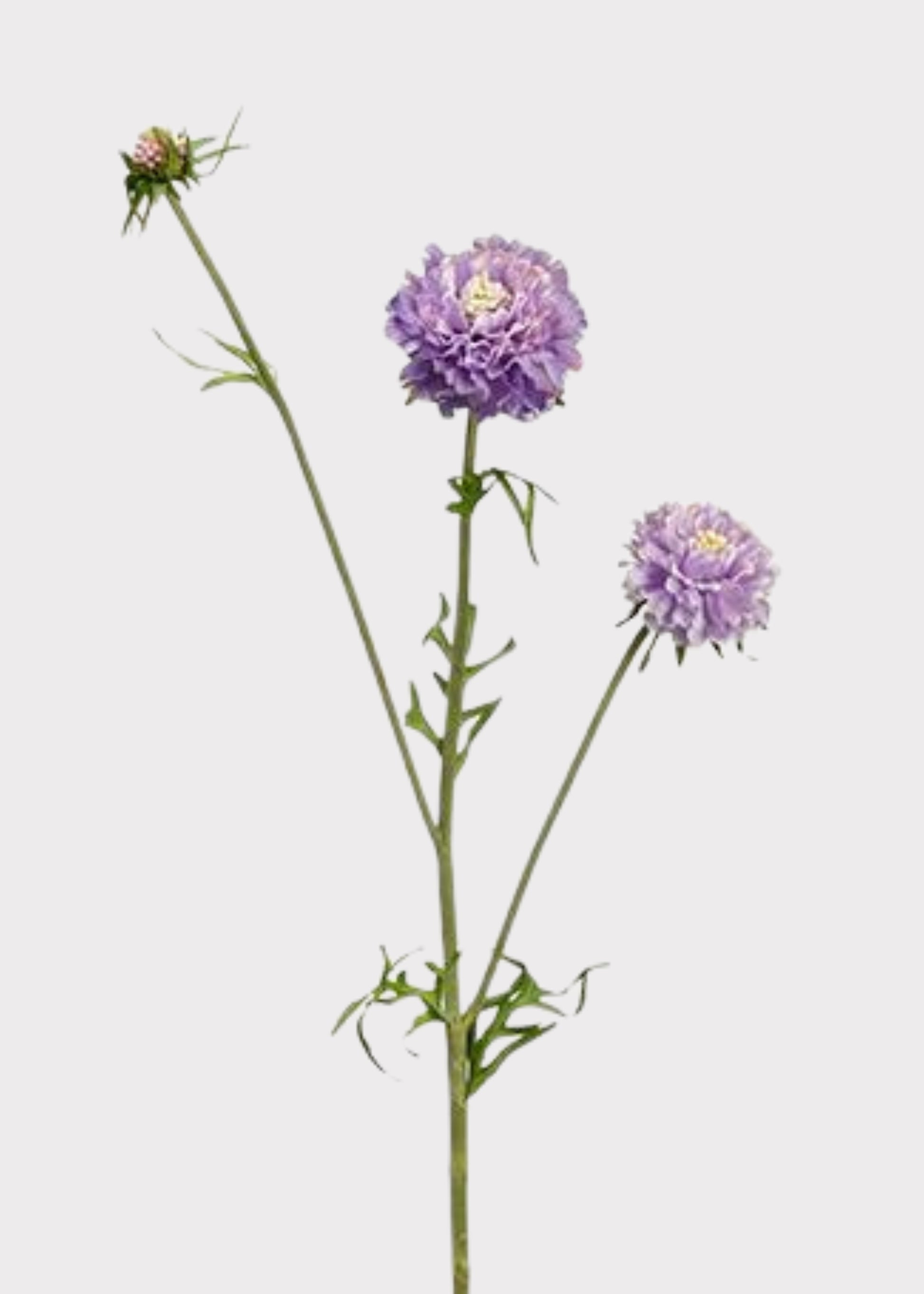 Lavender Artificial Scabiosa