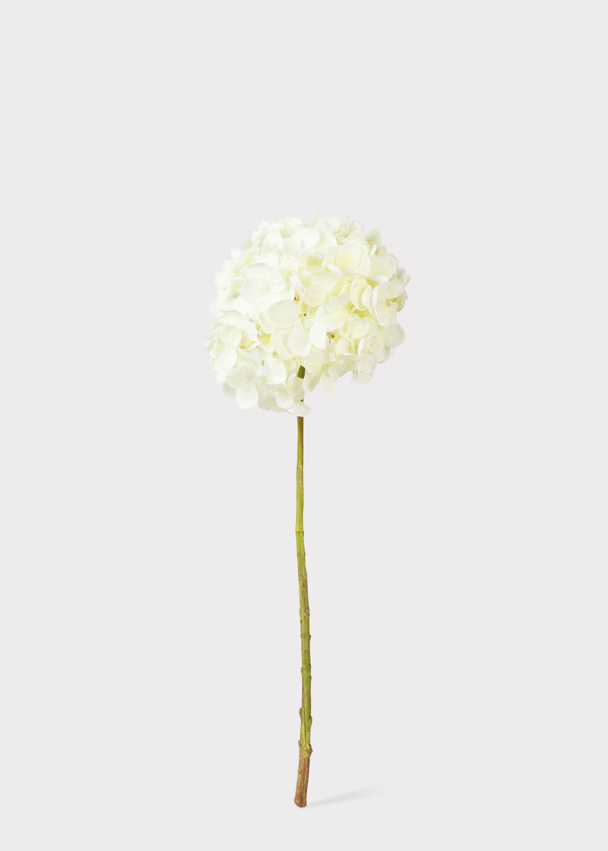 Artificial Cream Hydrangea Stem