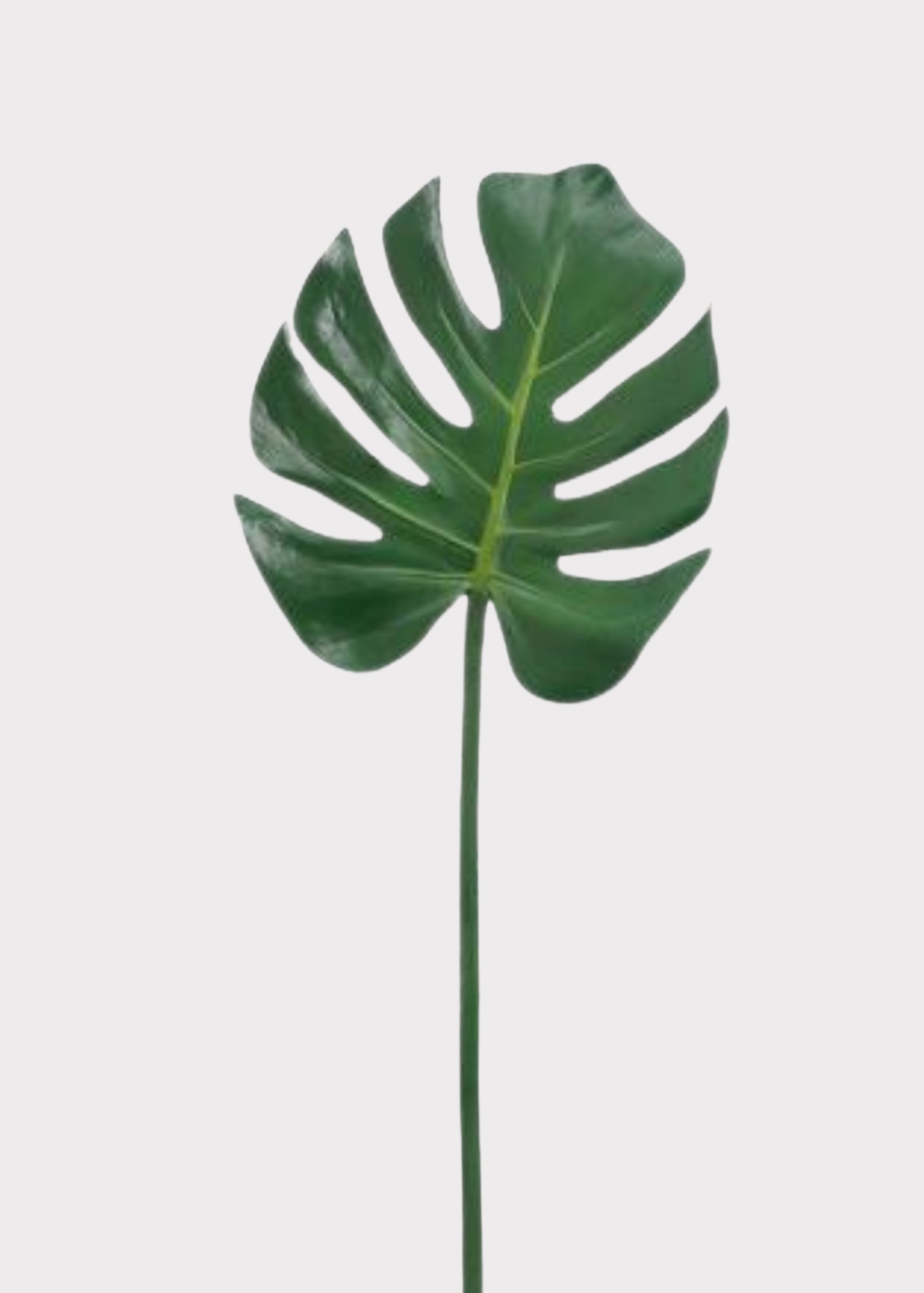 artificial monstera Monstera Leaf Stem | Realistic Fake Tropical Leaves