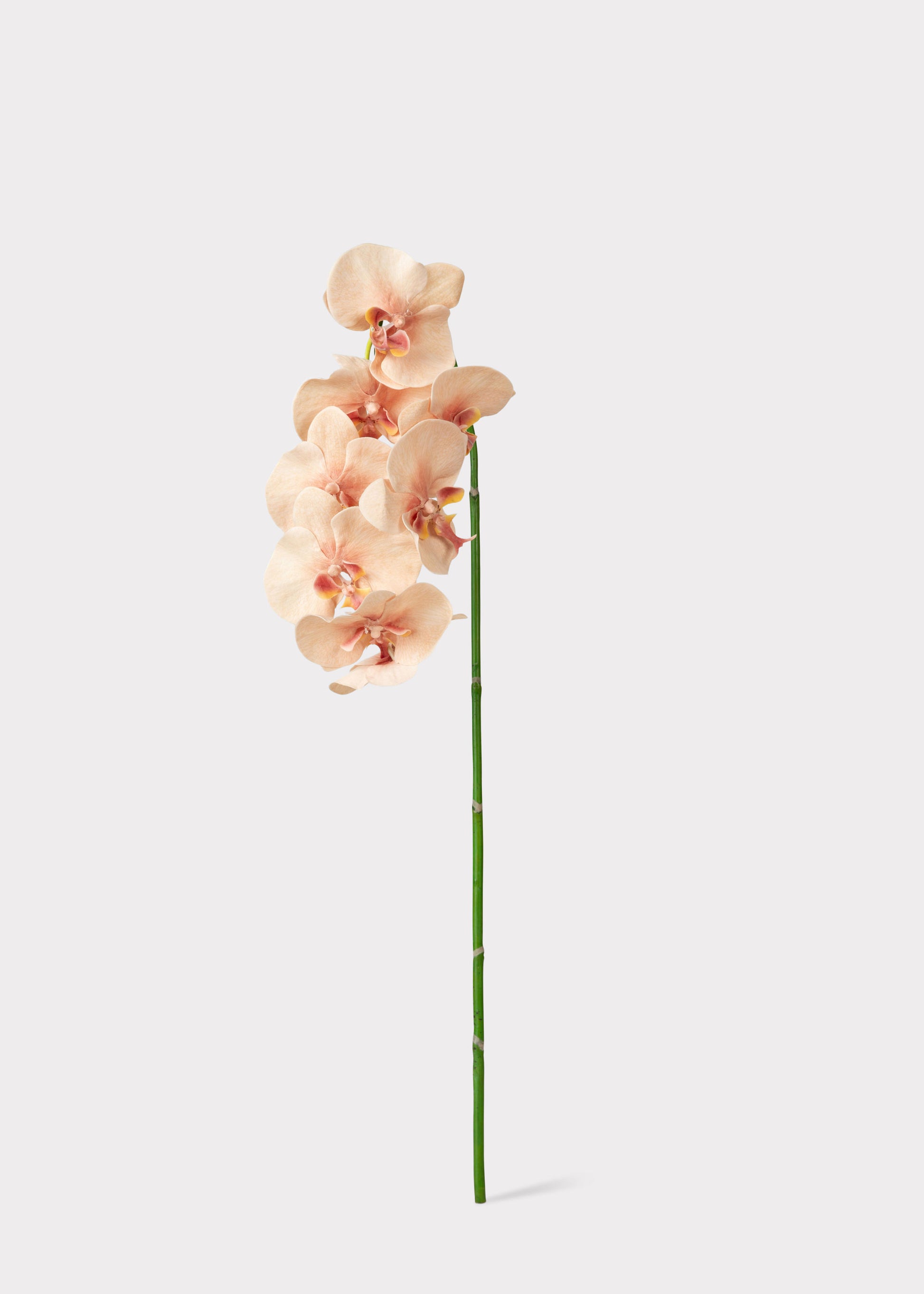 Faux Orchid Stem in Peach Pink