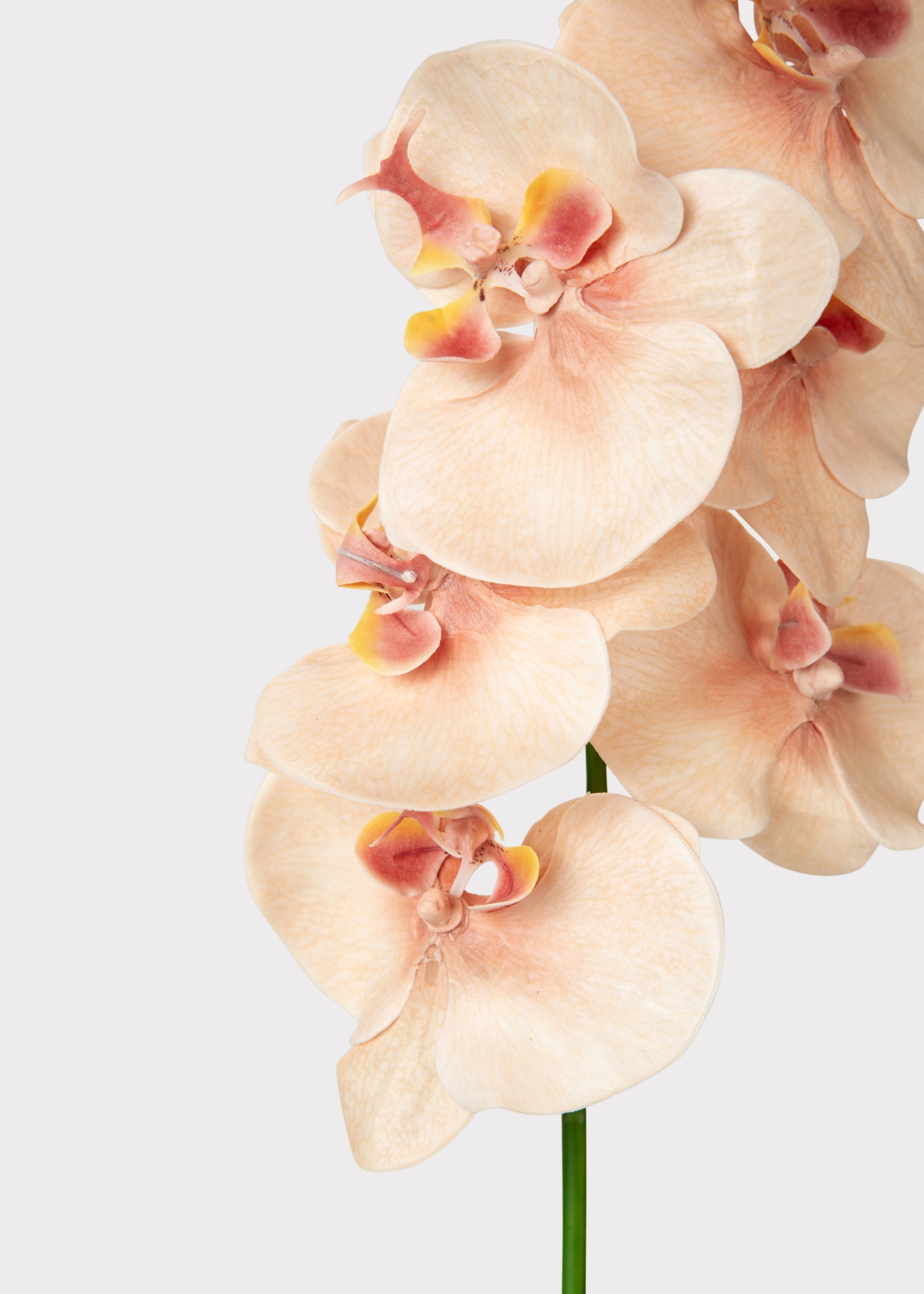 Artificial Peach Orchid