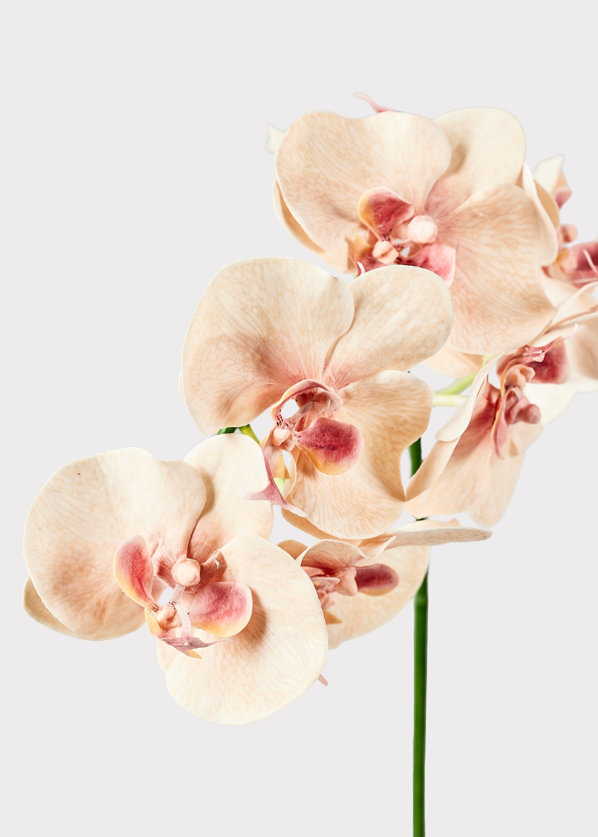 Peach Pink Artificial Orchids