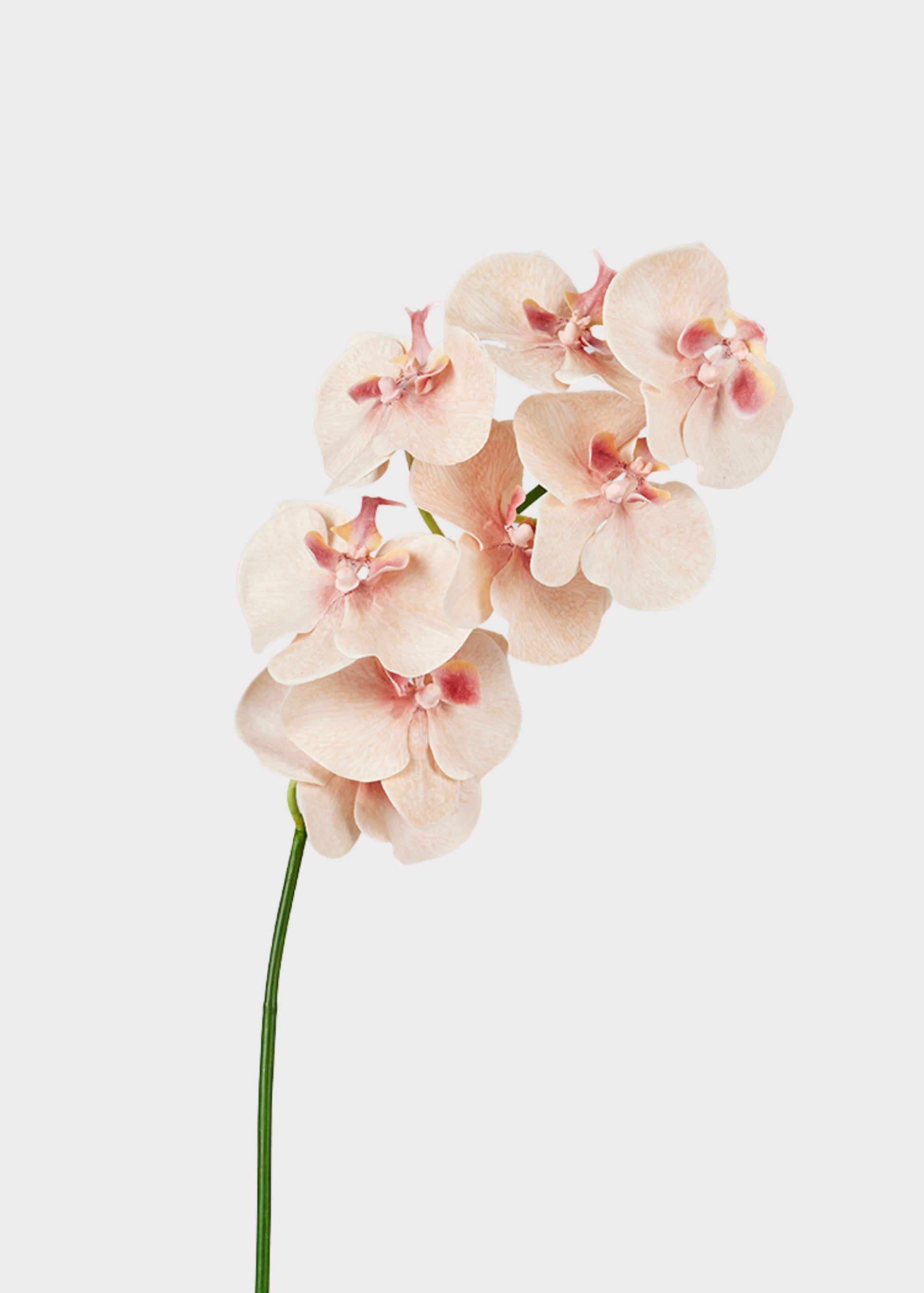 Peach Pink Fake Flowers Phalaenopsis Orchid