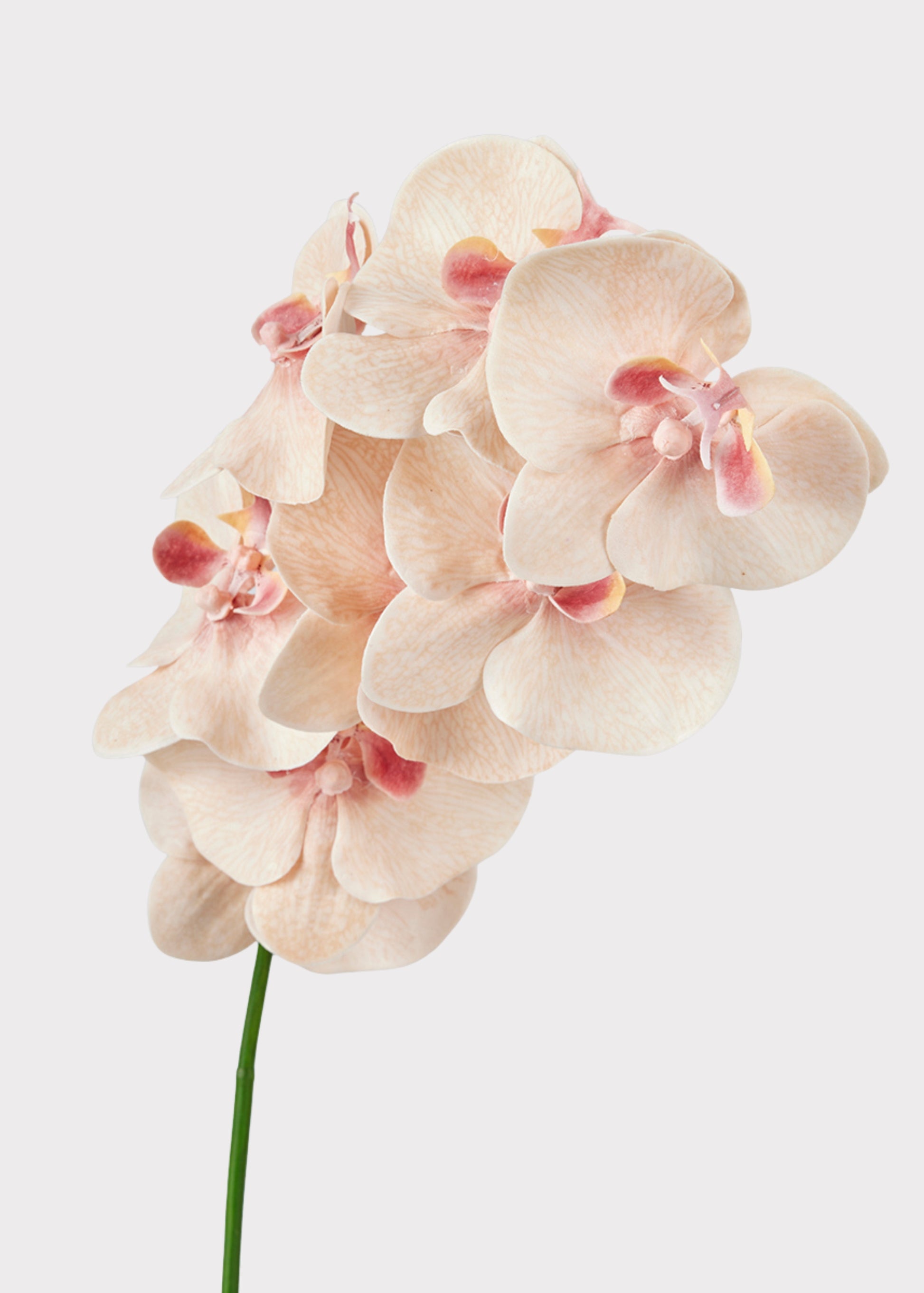 Artificial Orchid Stem in Peach Pink