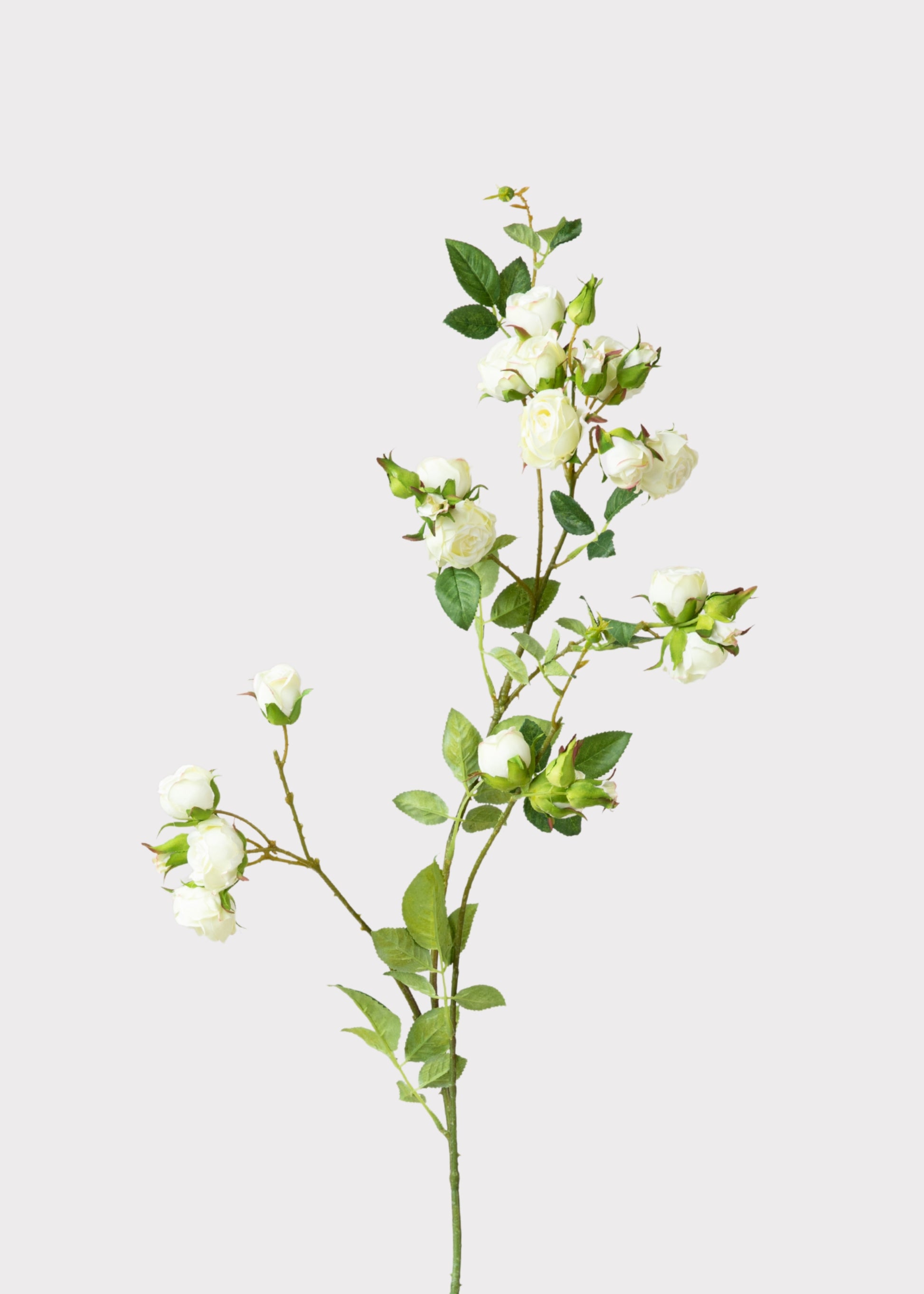 Rose Branch in Cream White