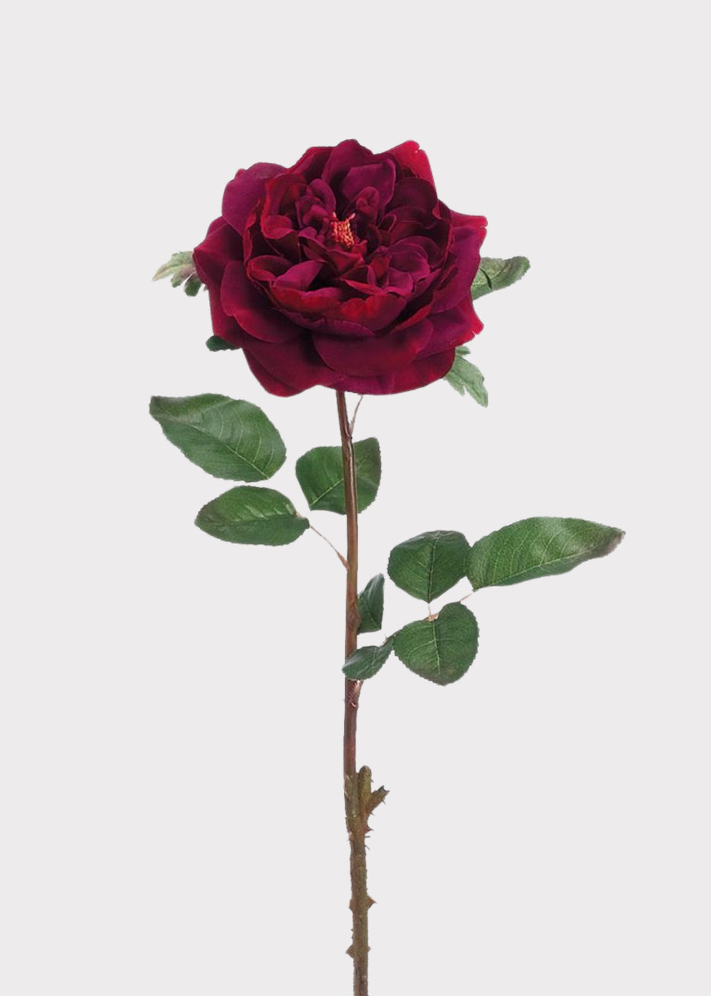 Englsih Roses Fake Artificial English Rose in Wine - 20
