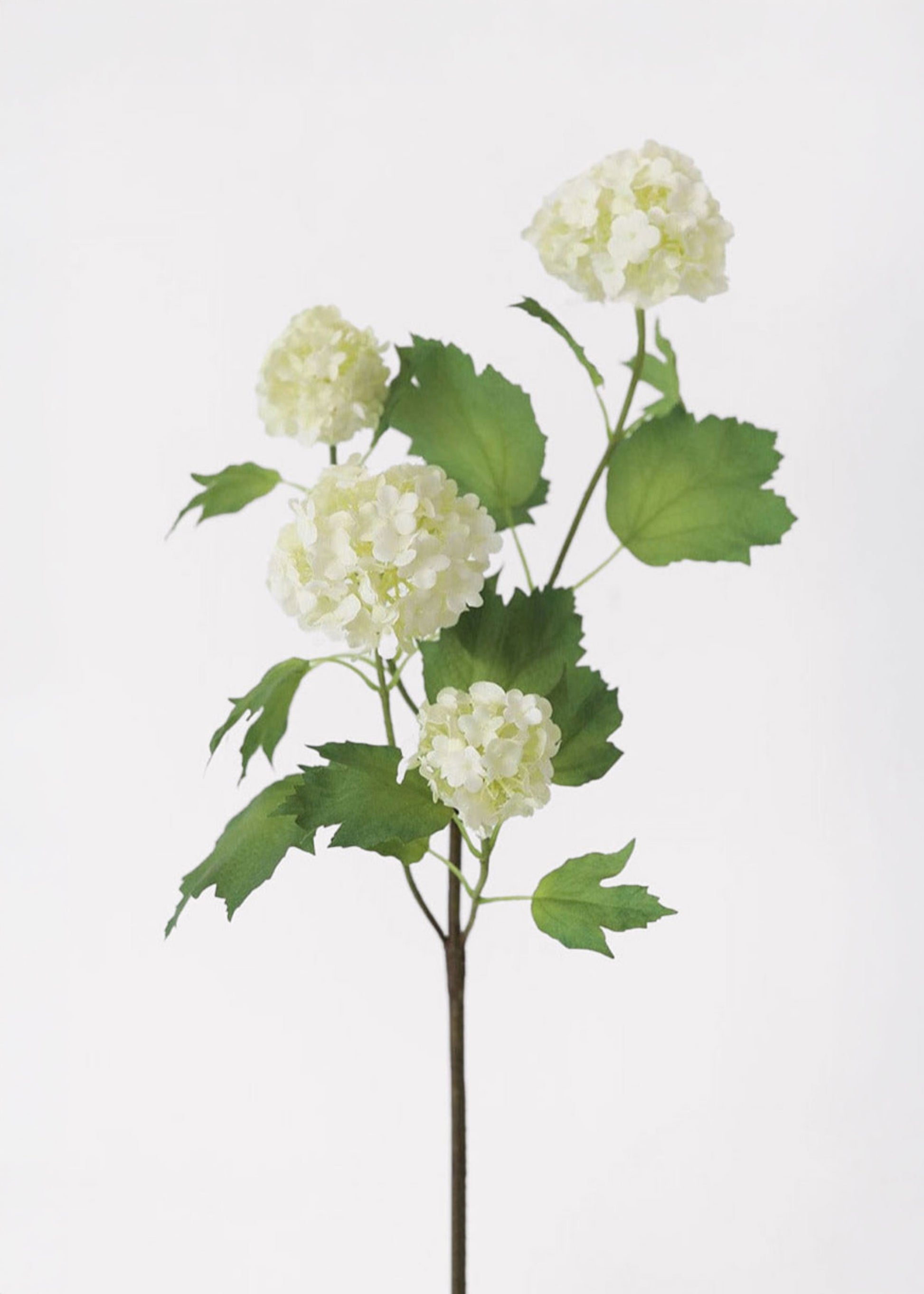 Artificial Botanicals in Cream Snowball Flower Spray