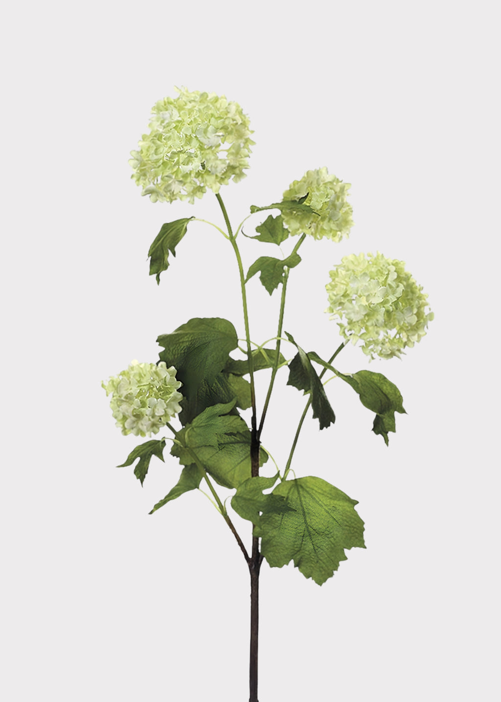 Faux Snowball Flowers in Cream Green