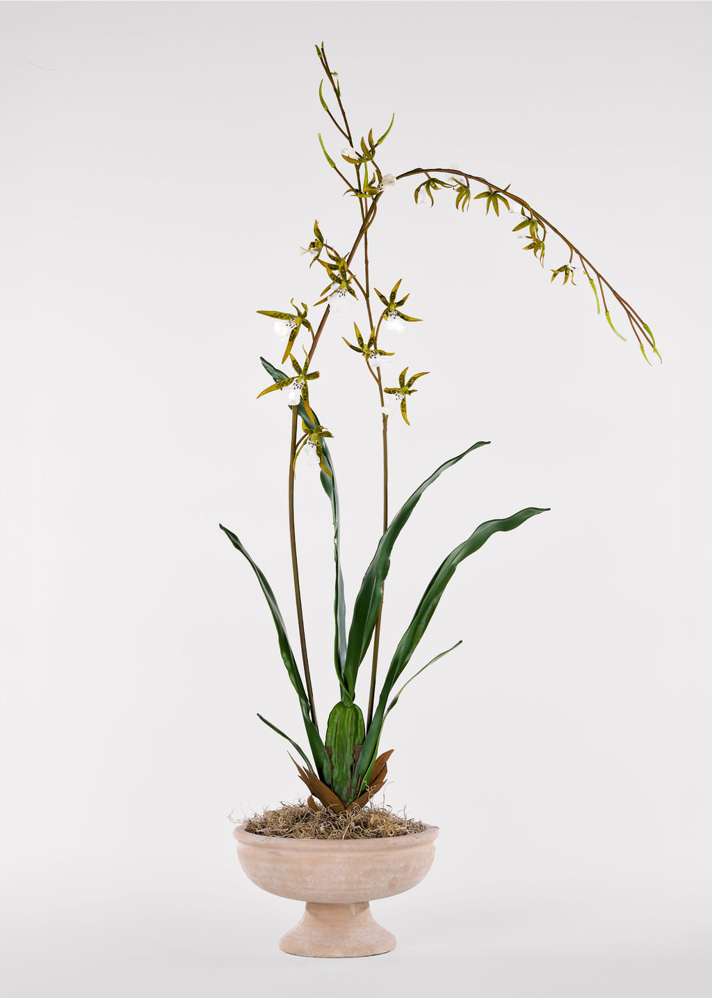 Styled faux orchid in pedestal vase