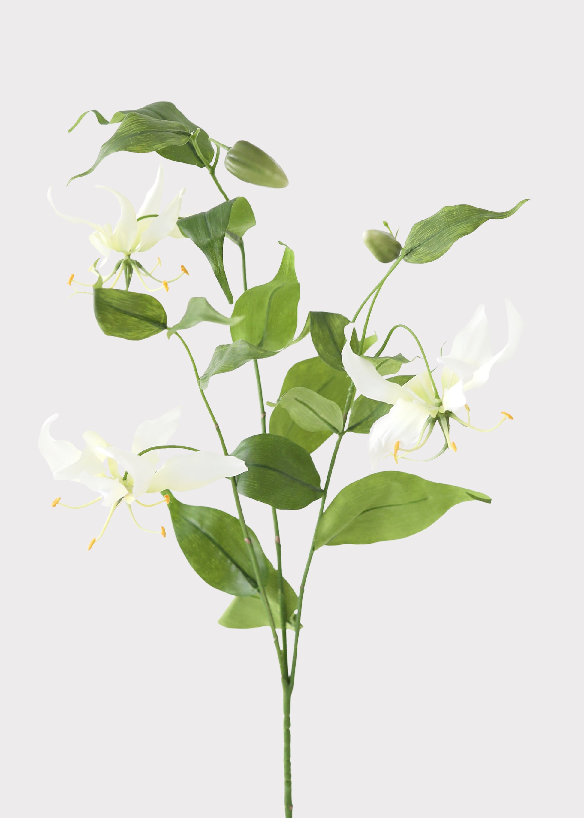 Tropical Fake Gloriosa Lily 