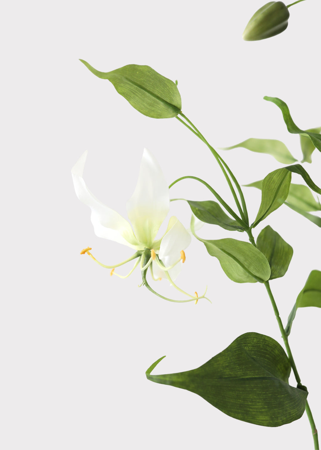 White Fake Gloriosa Lily 