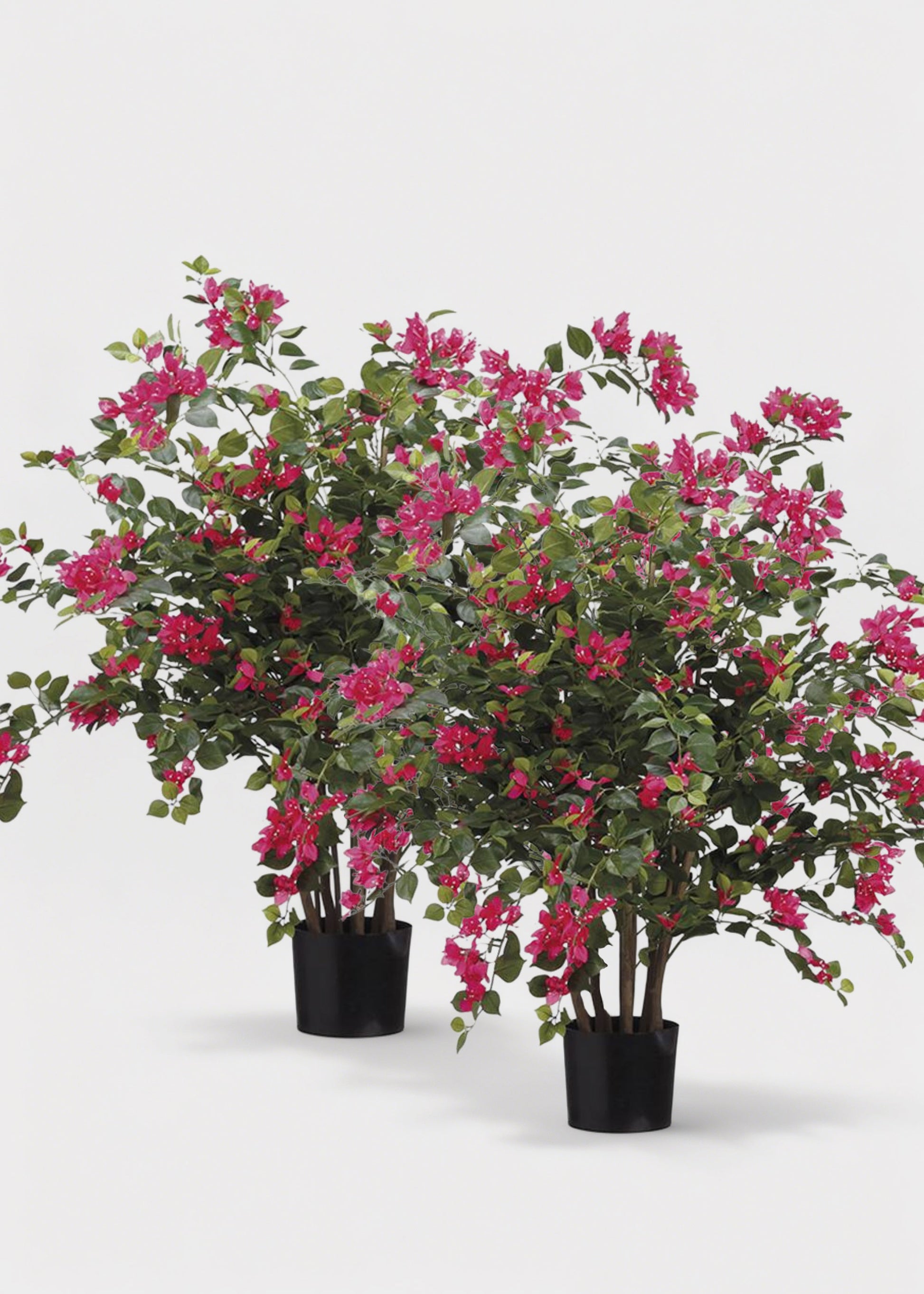 Pack of two Faux Blooming Bougainvillea Potted Arrangements