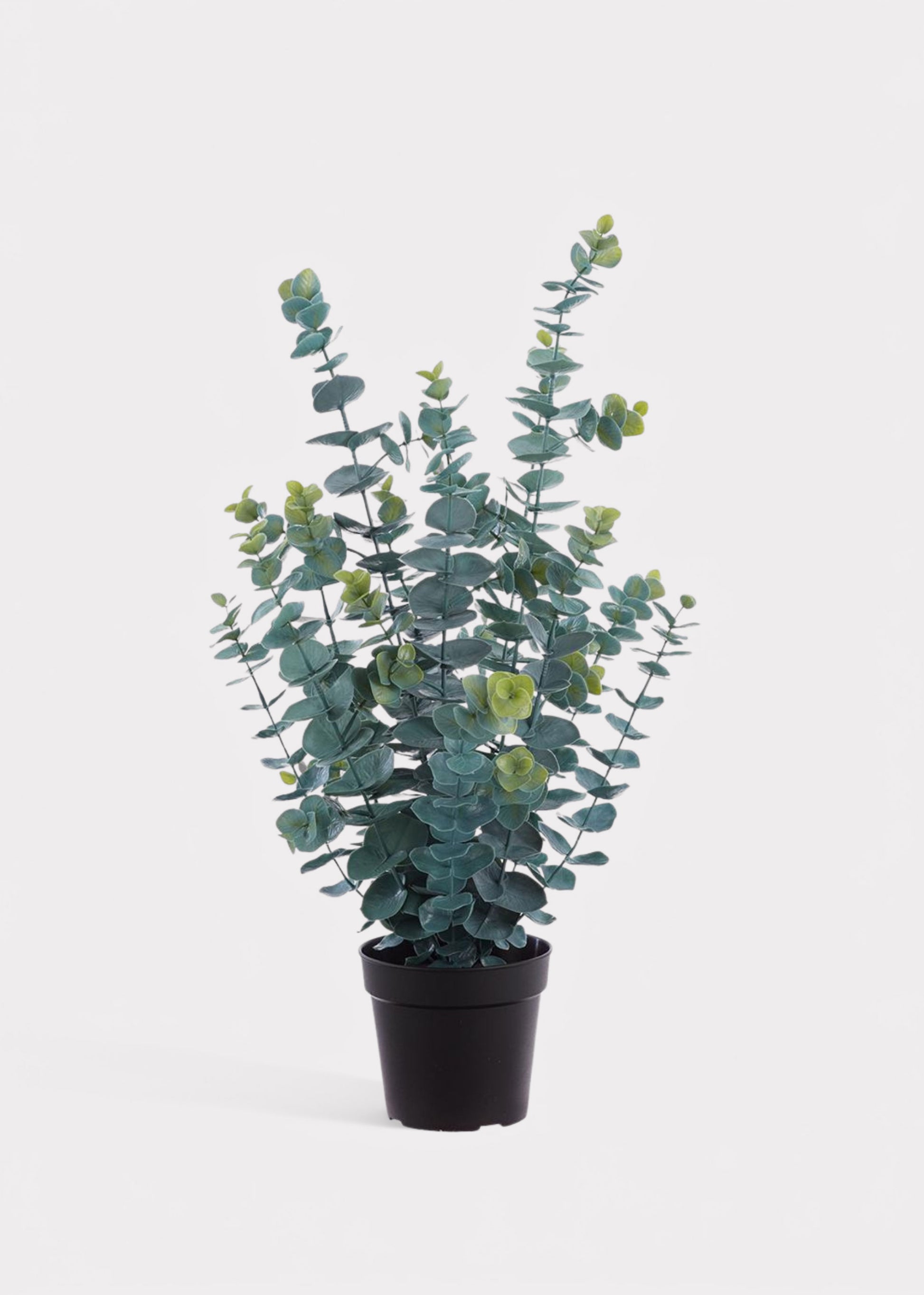Artificial Eucalyptus Potted Plant