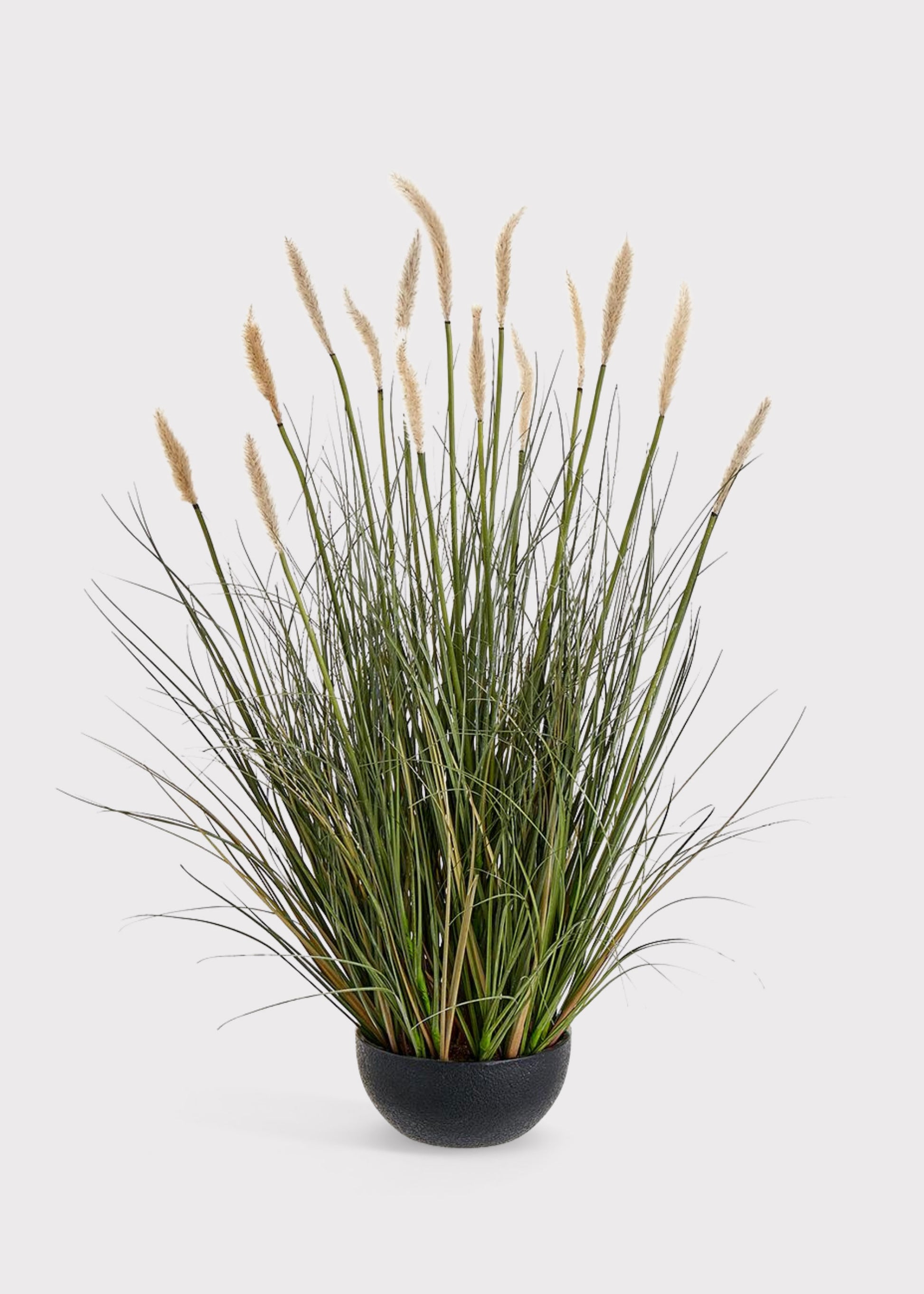 Fake Foxtail Grass Plant in Plastic Planter Pot 