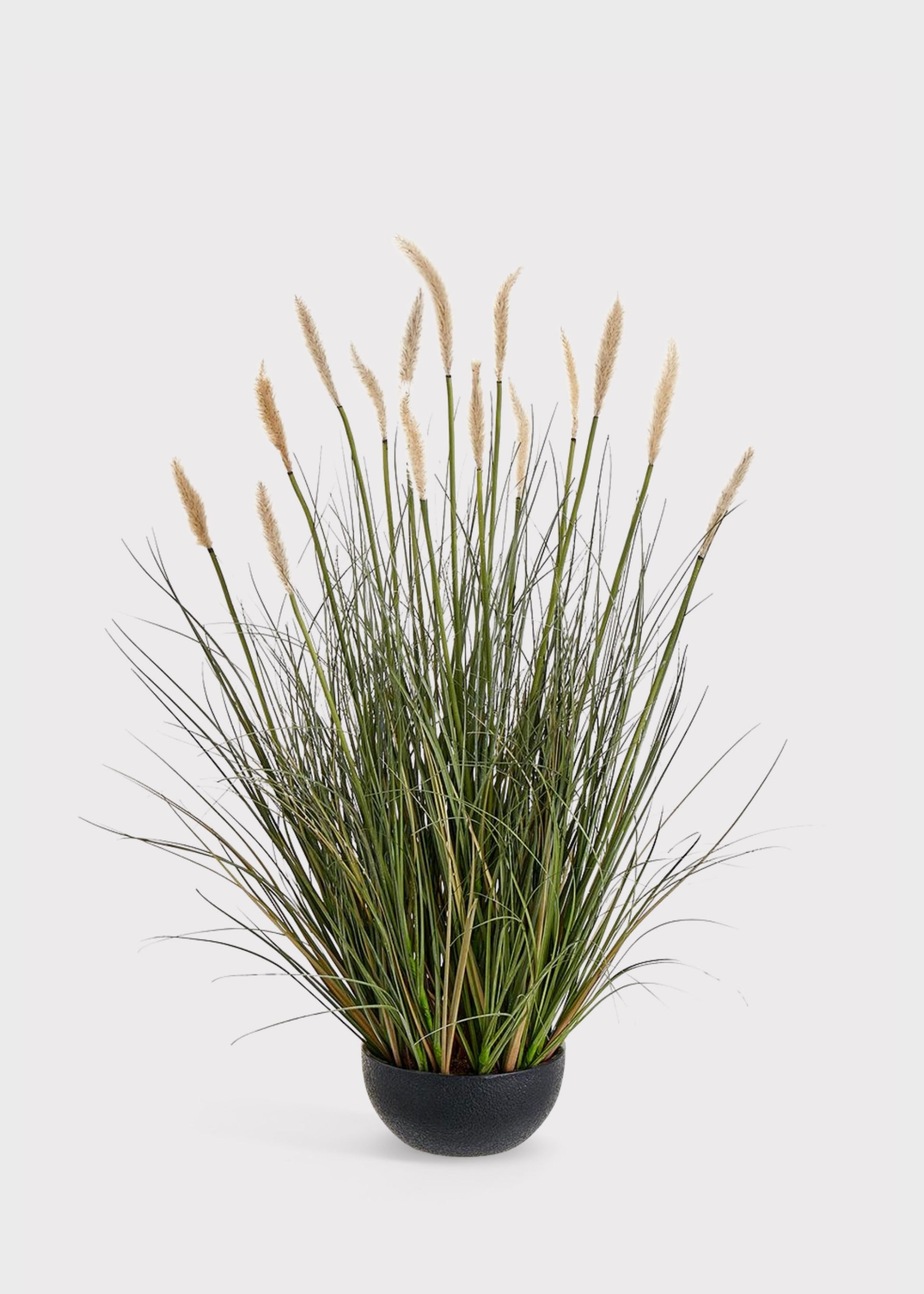Fake Foxtail Grass Plant in Plastic Planter Pot - 28"