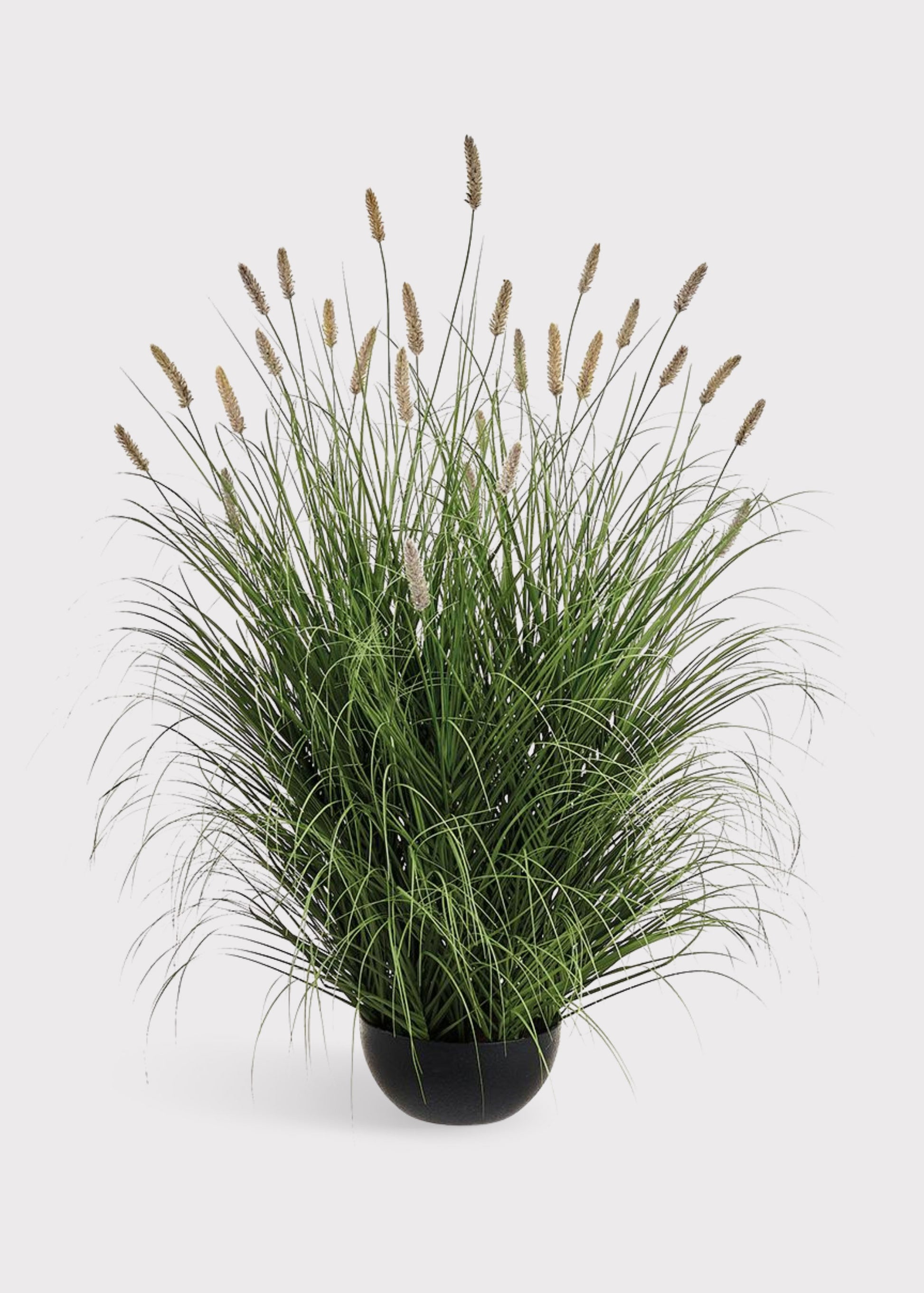 Large Artificial Potted Foxtail Grass Plant