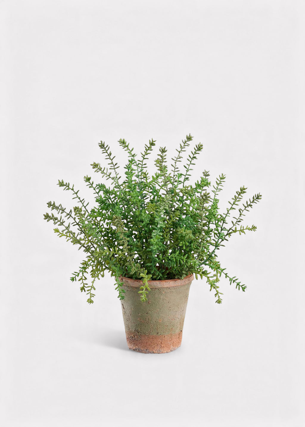 Artificial Sedum Plant in Clay Pot 