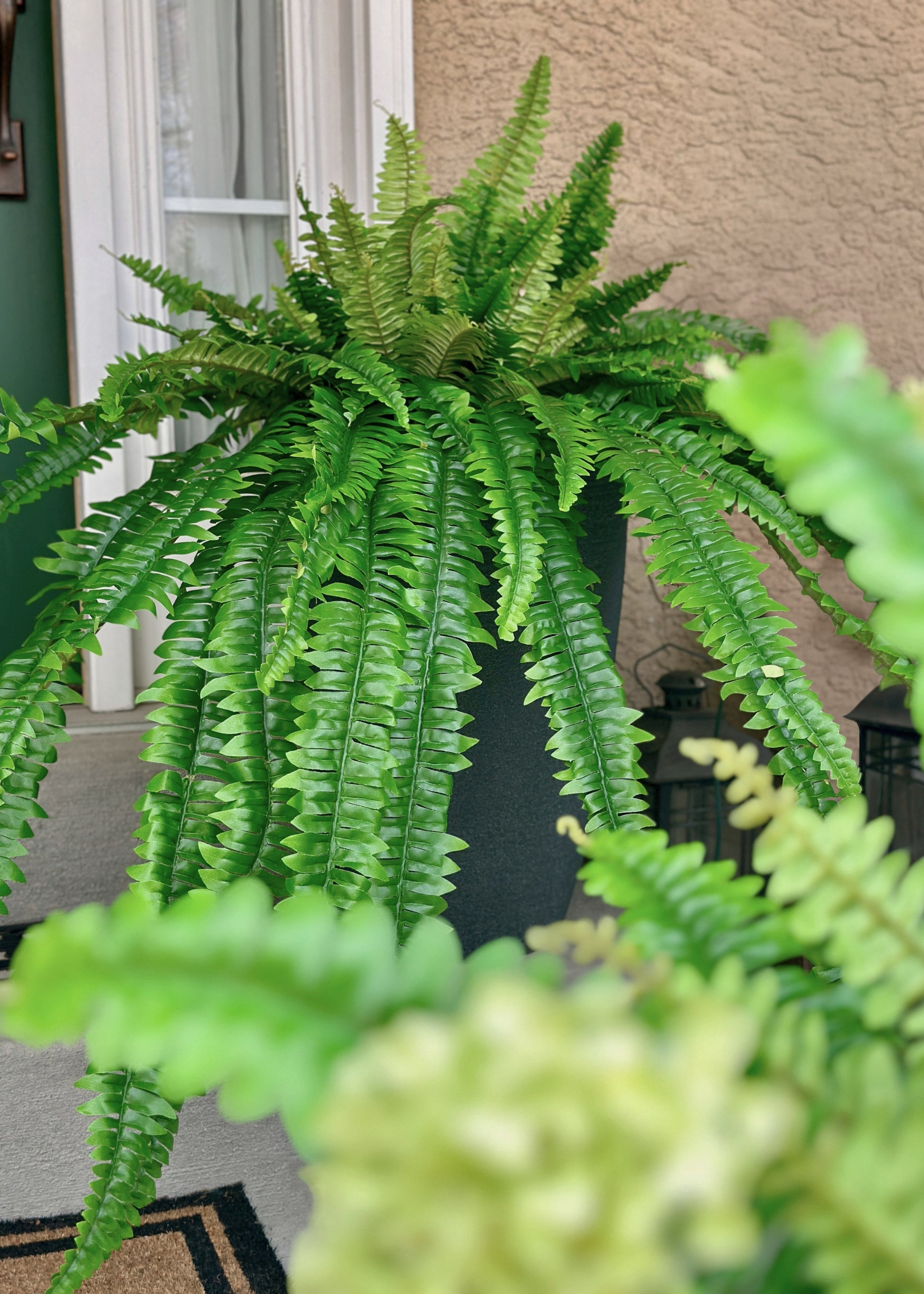 outdoor fake ferns at afloral