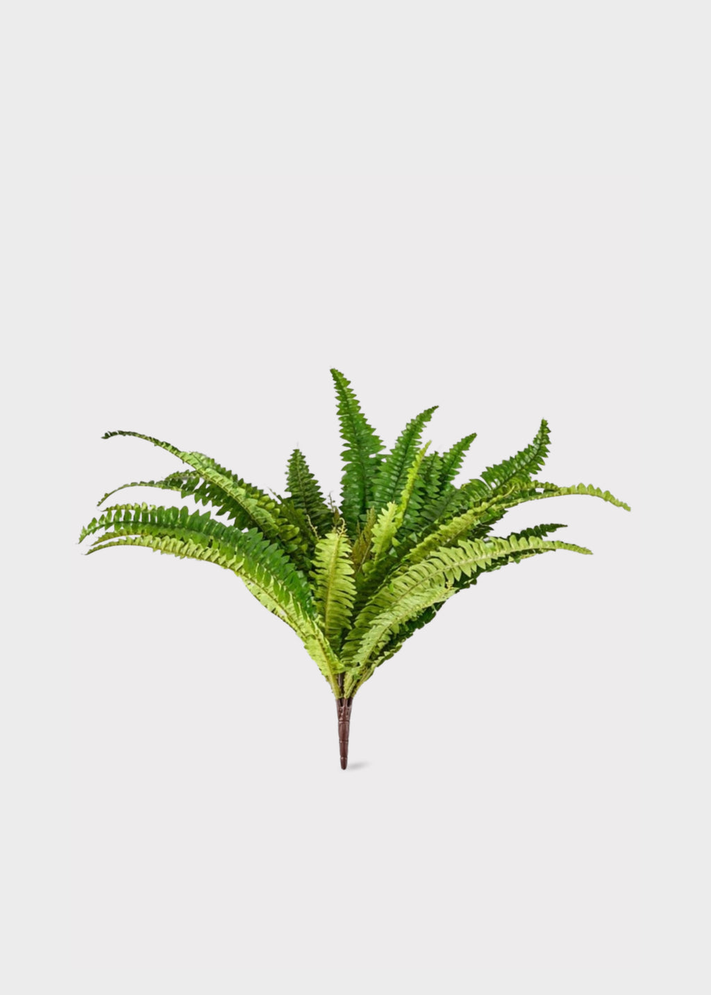 Faux Outdoor Plants UV Protected Boston Fern Bush at Afloral