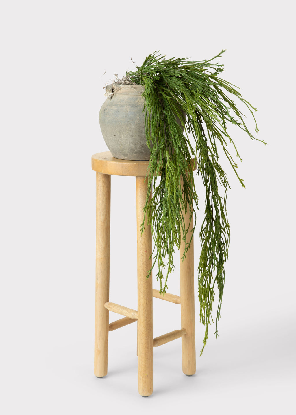 Faux Moss Fern Plant