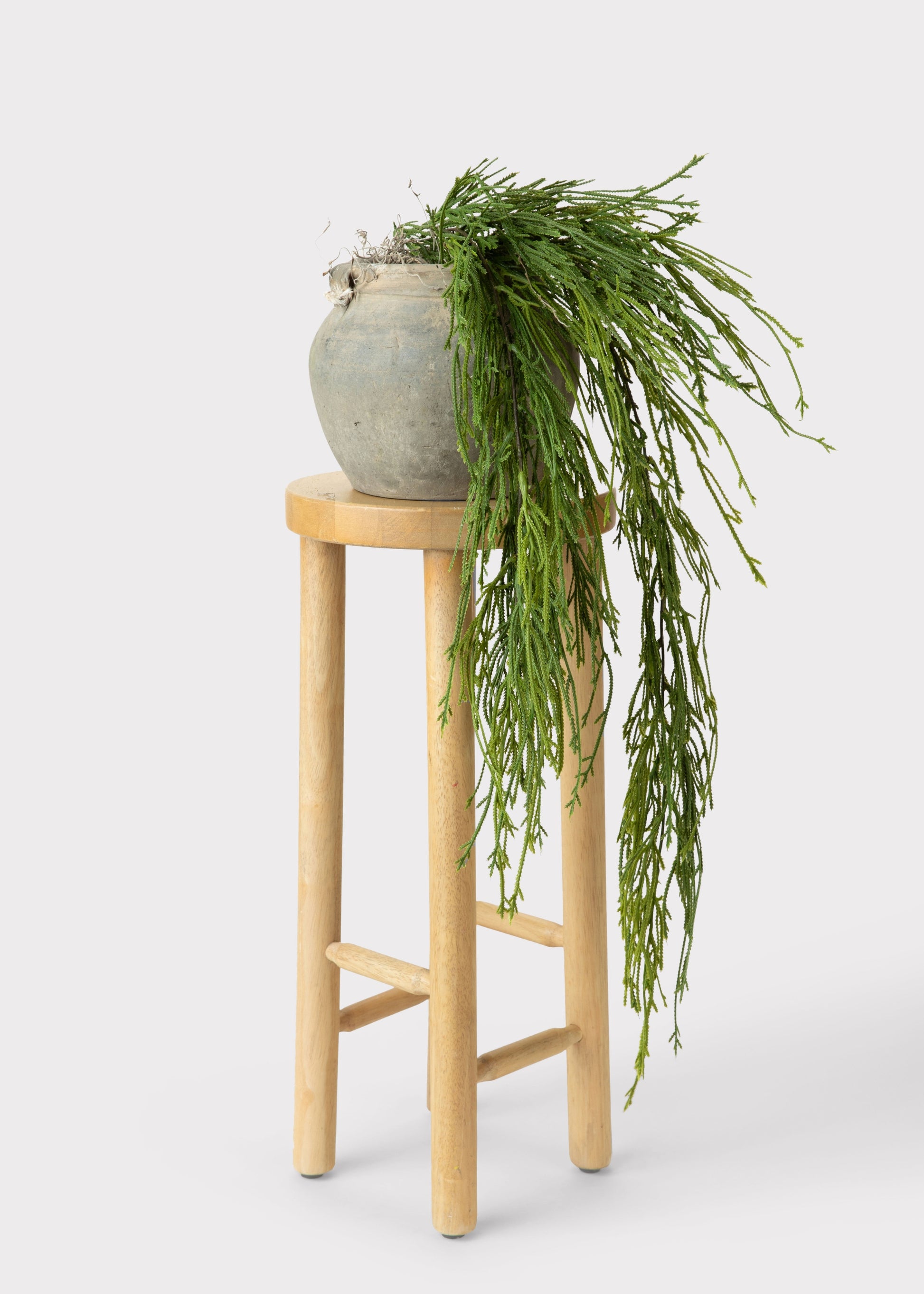 Faux Moss Fern Plant