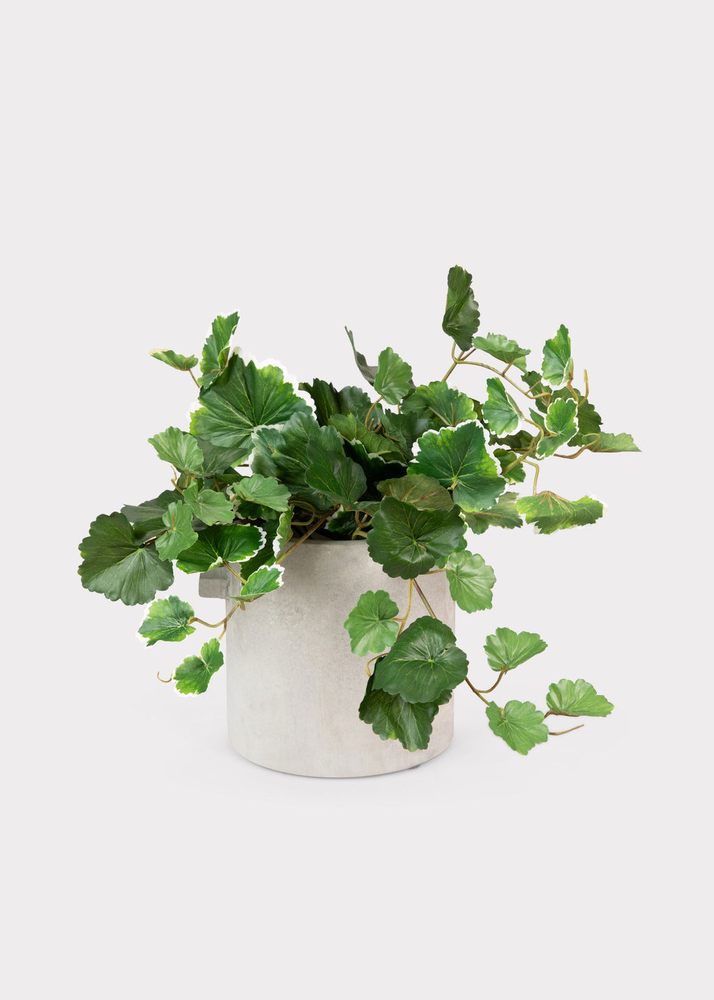 Faux Geranium Leaf Bush