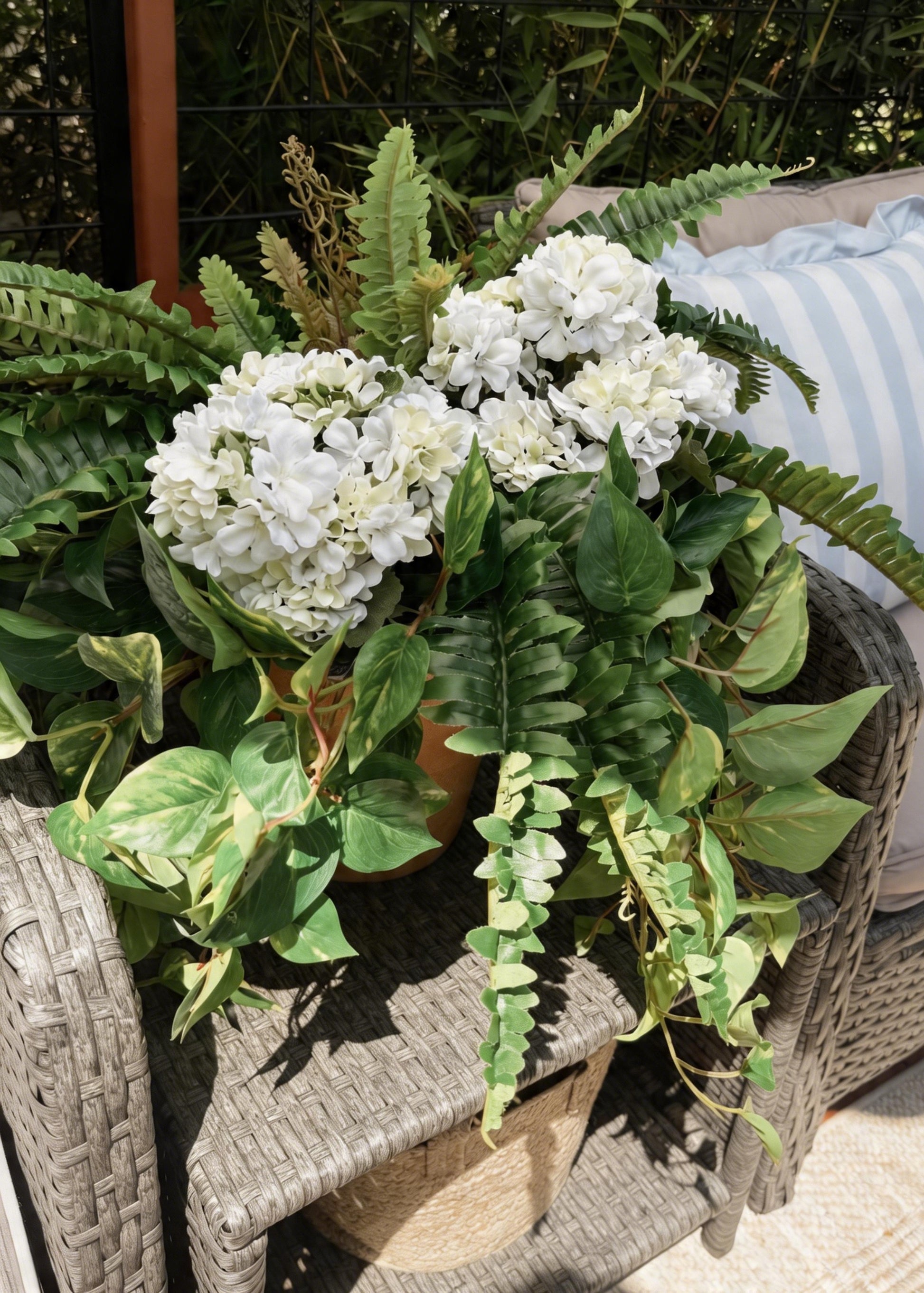 Outdoor Arrangement with Pothos, Ferns, and Geraniums