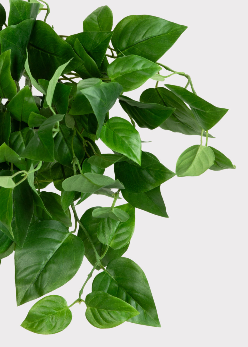 philodendron plant outside Outdoor Hanging Philodendron | UV Treated Fake Plants