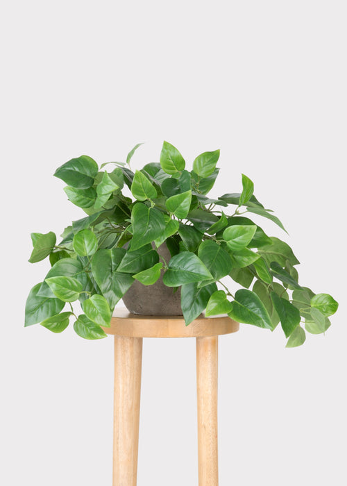 Outdoor Hanging Philodendron | UV Treated Fake Plants