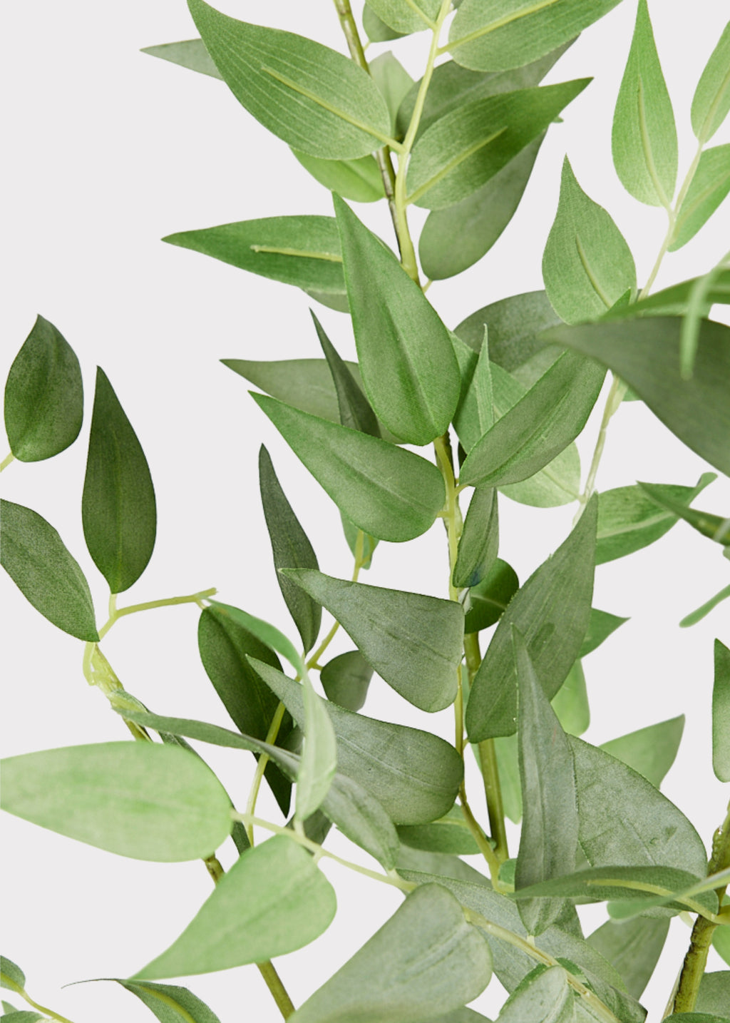 Artificial Green Italian Ruscus Leaves at afloral