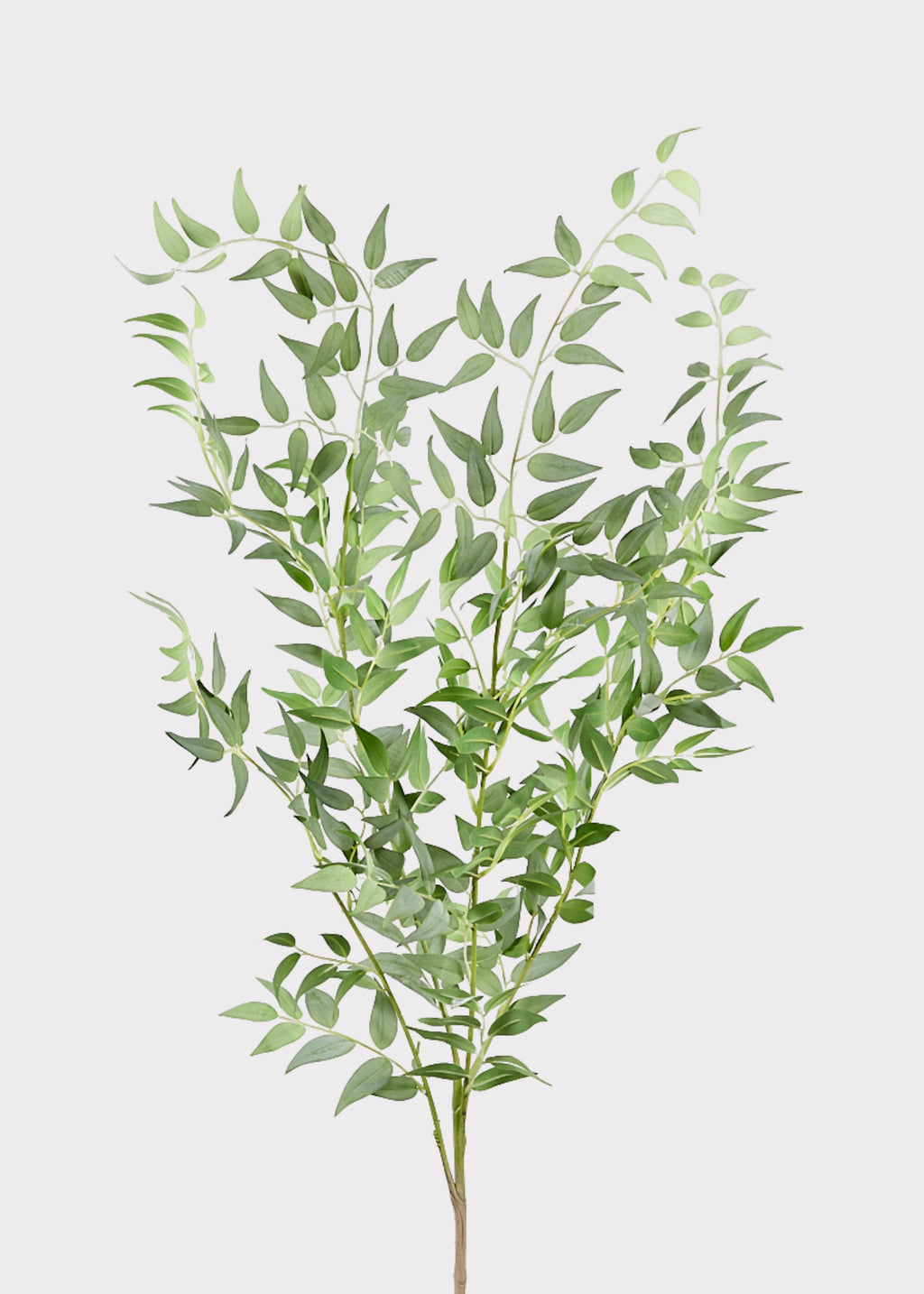 Artificial green ruscus leaf branch