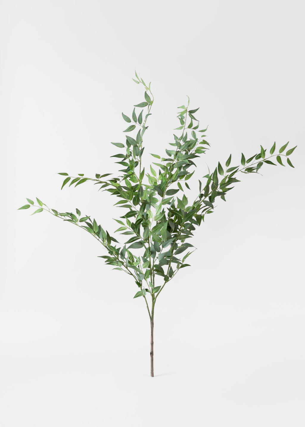 Artificial Italian Ruscus Spray at Afloral