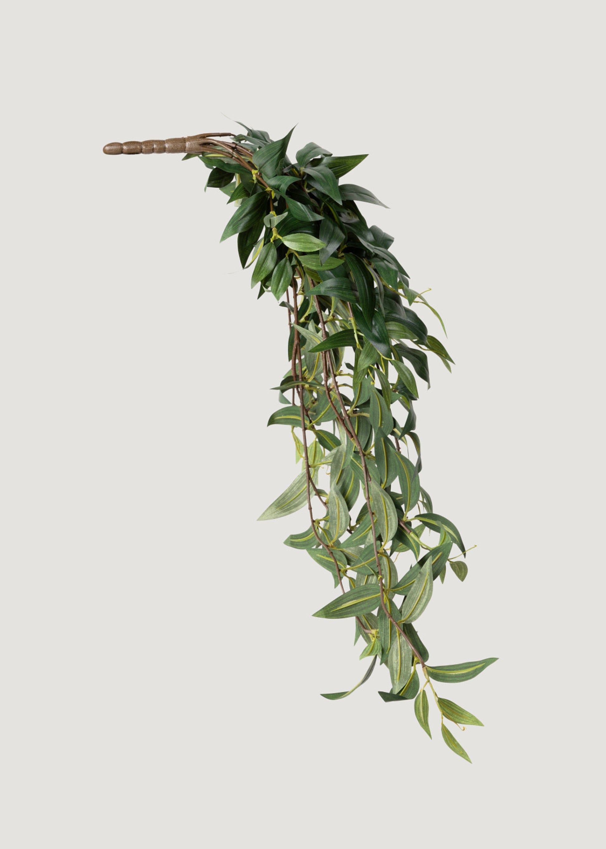 Fake Ruscus Hanging Leaf Bush