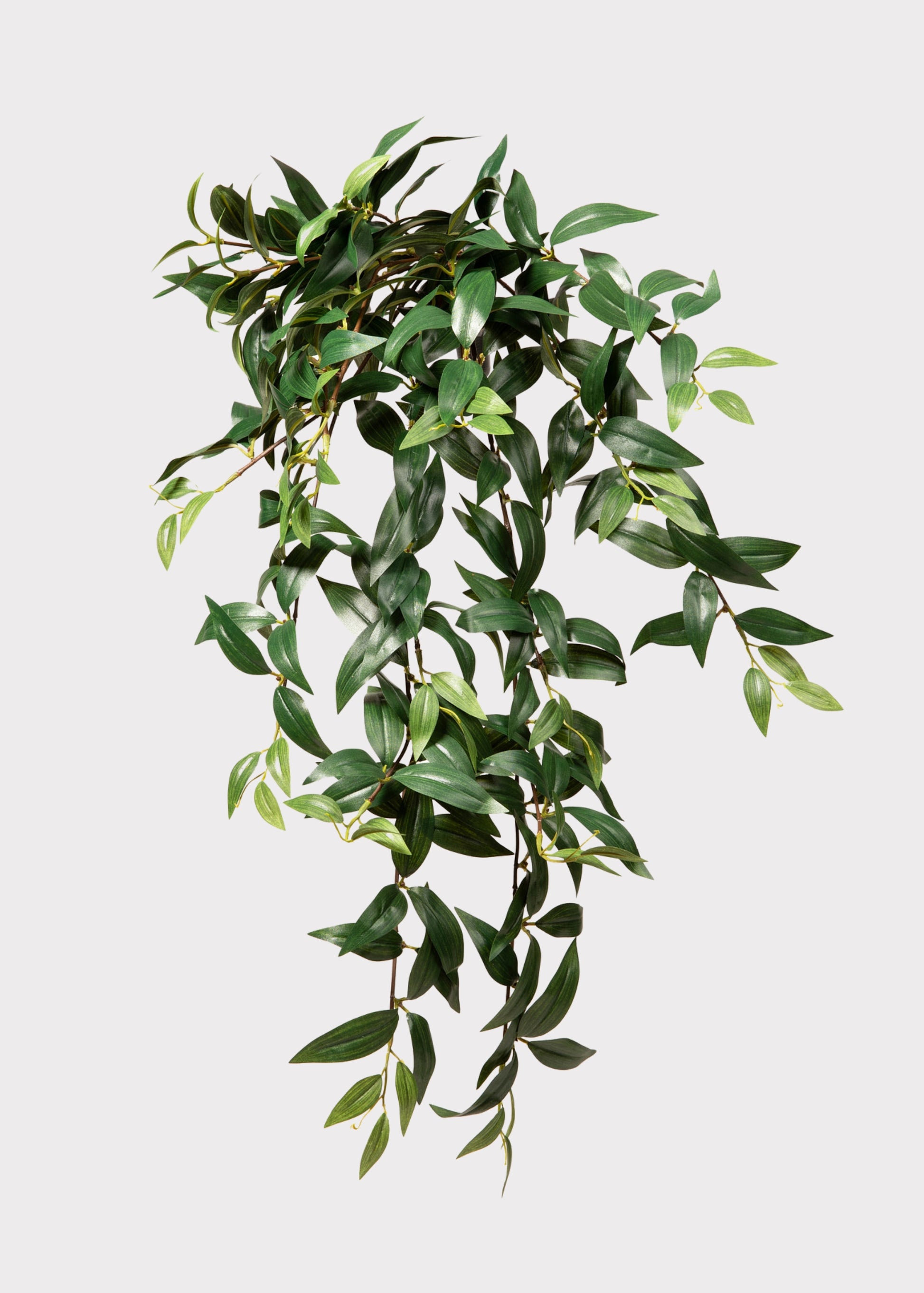 Artificial Ruscus Leaves