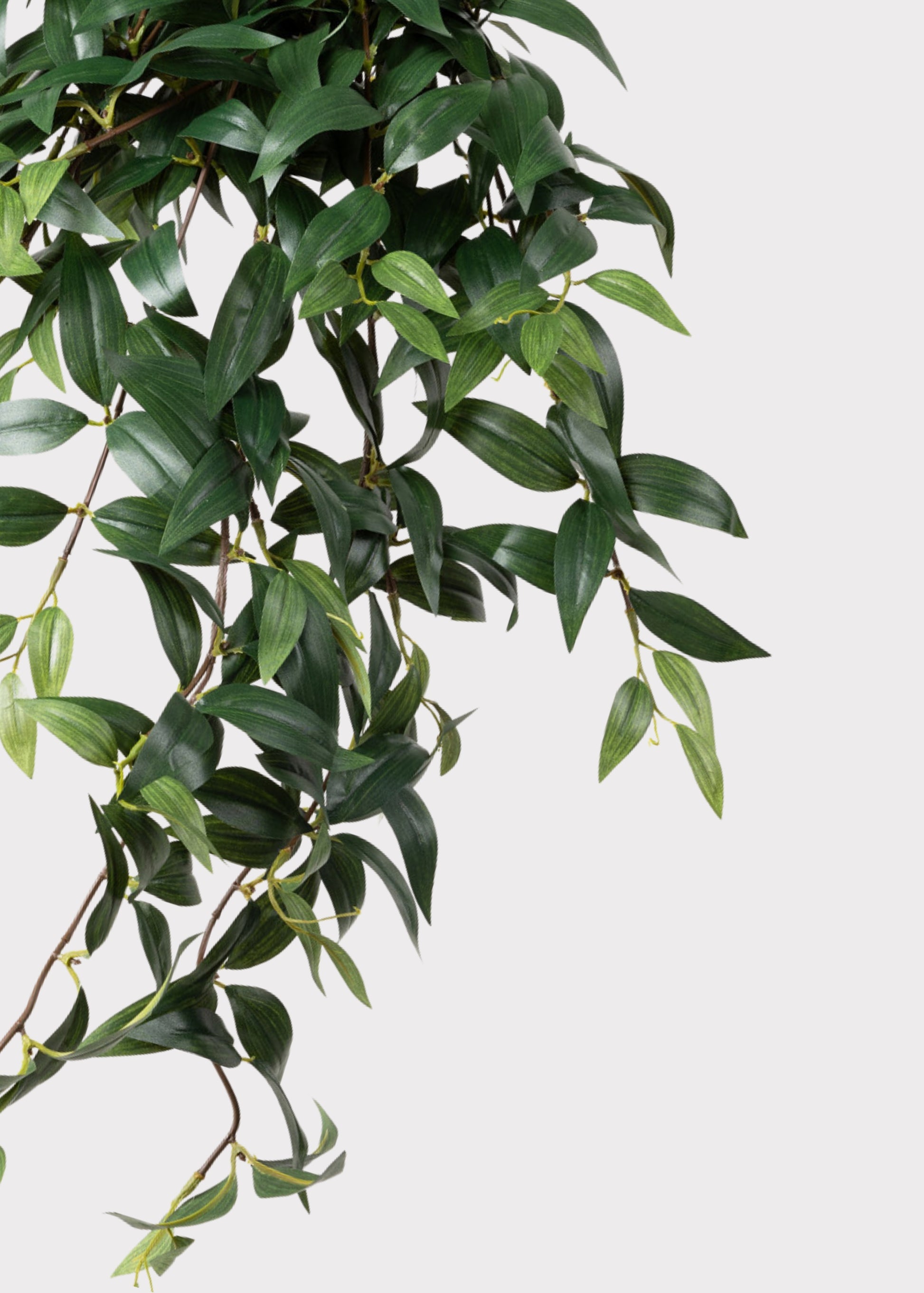 Artificial Hanging Ruscus Plant