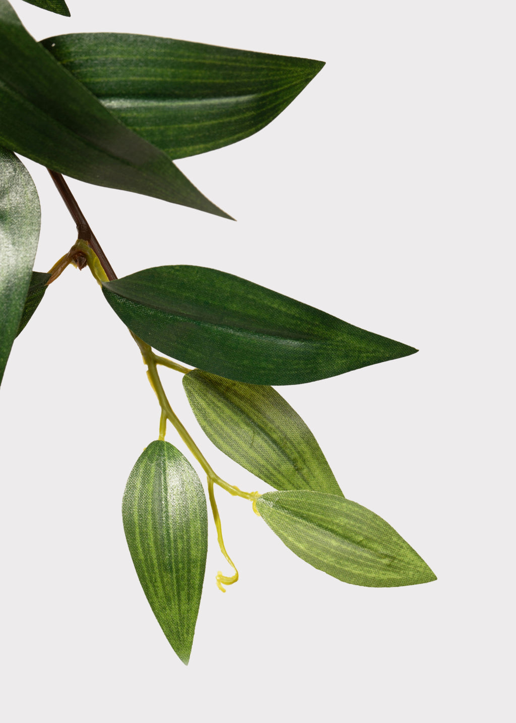 Faux Ruscus Leaves