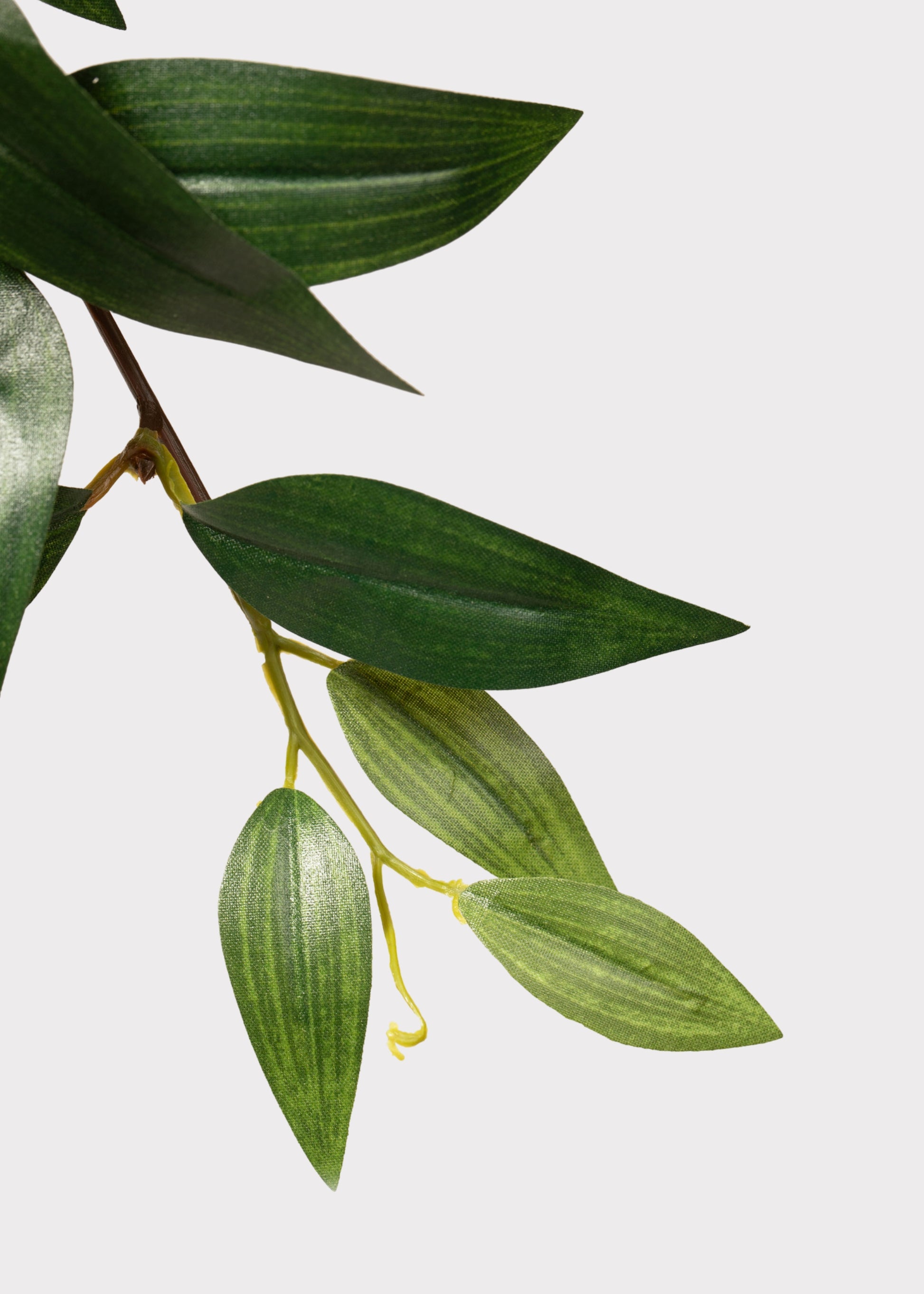 Faux Ruscus Leaves