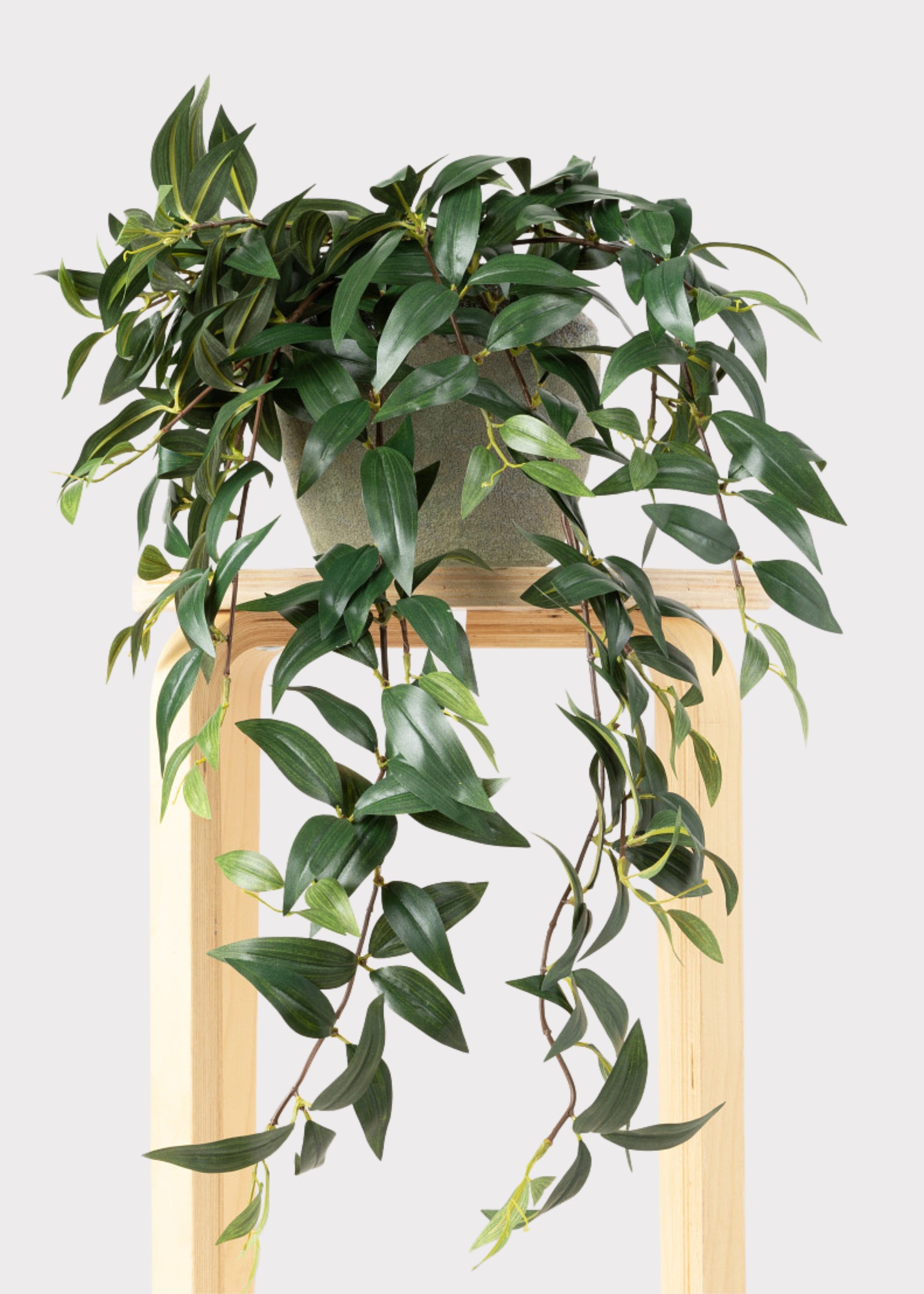 Ruscus Leaves Fake Plant