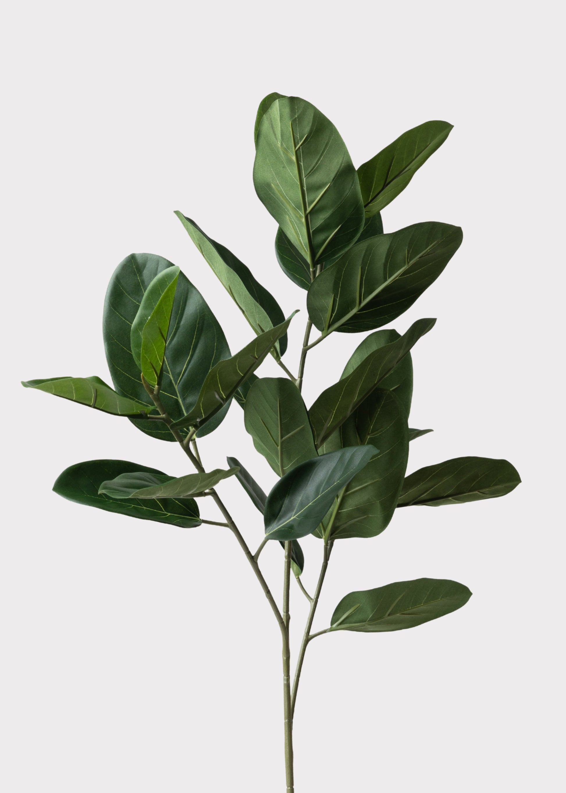 Fake Ficus Leaf Branch