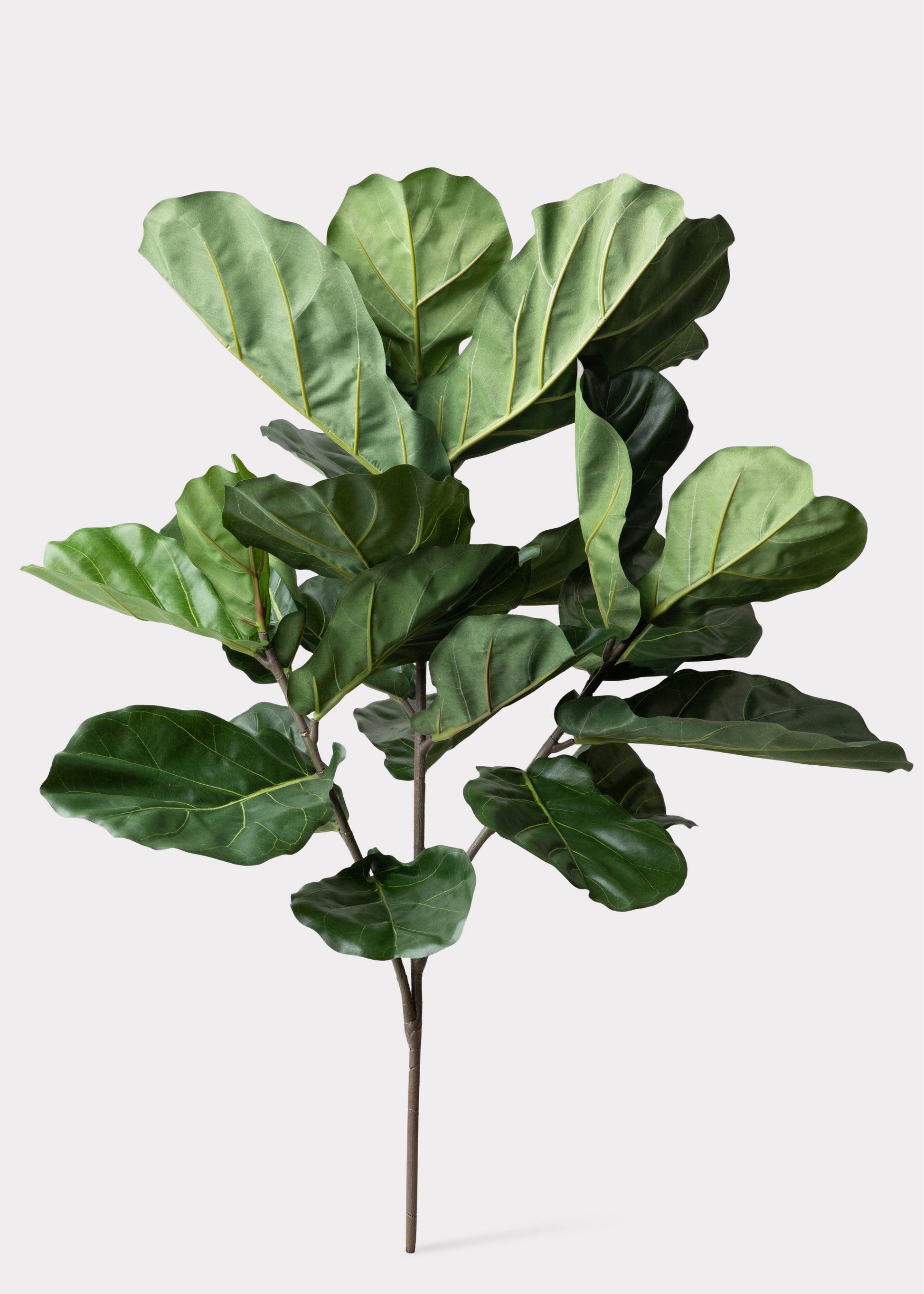 Tall Artificial Fiddle Leaf Fig Branch