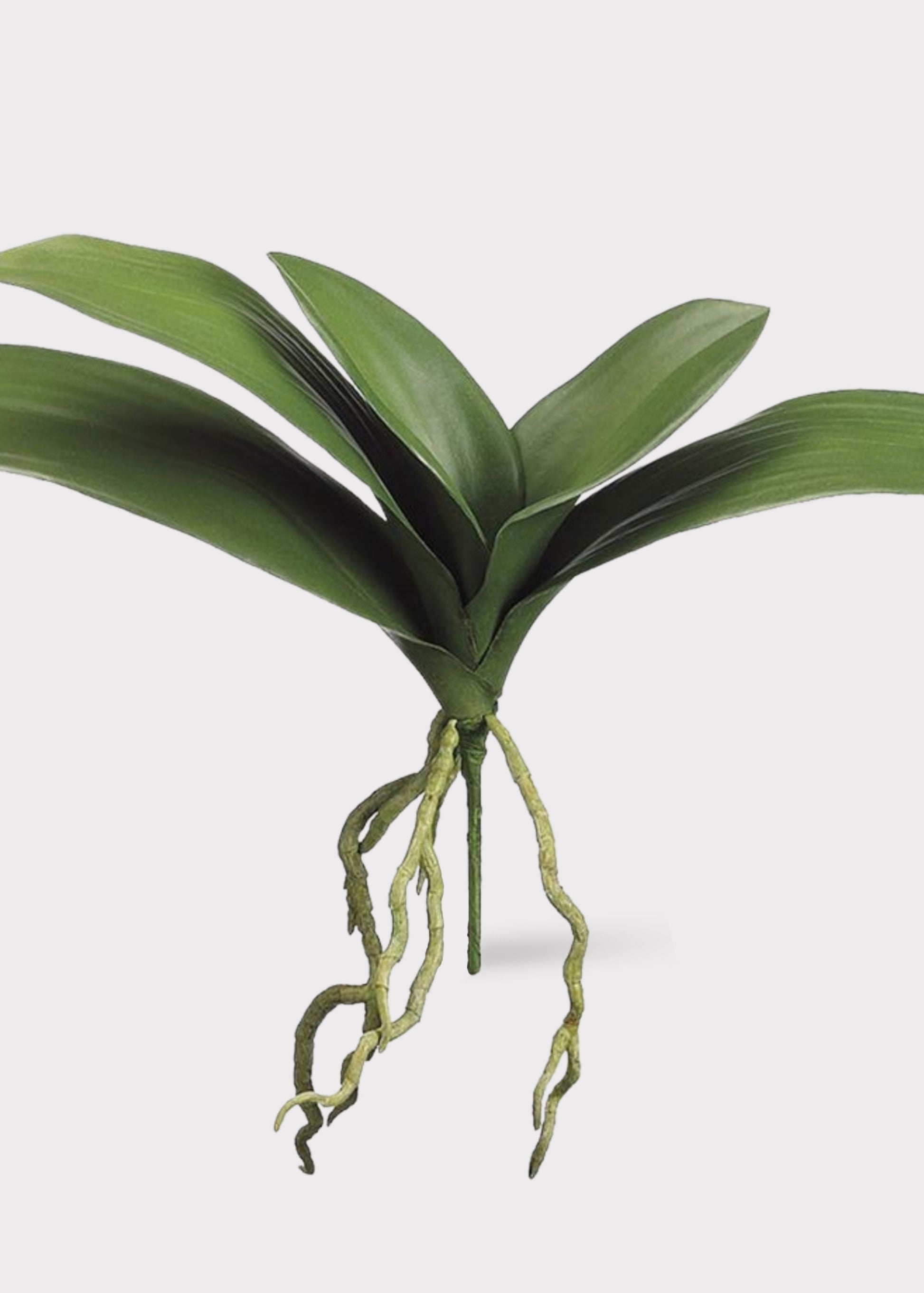 Artificial Phalaenopsis Orchid Leaf Plant