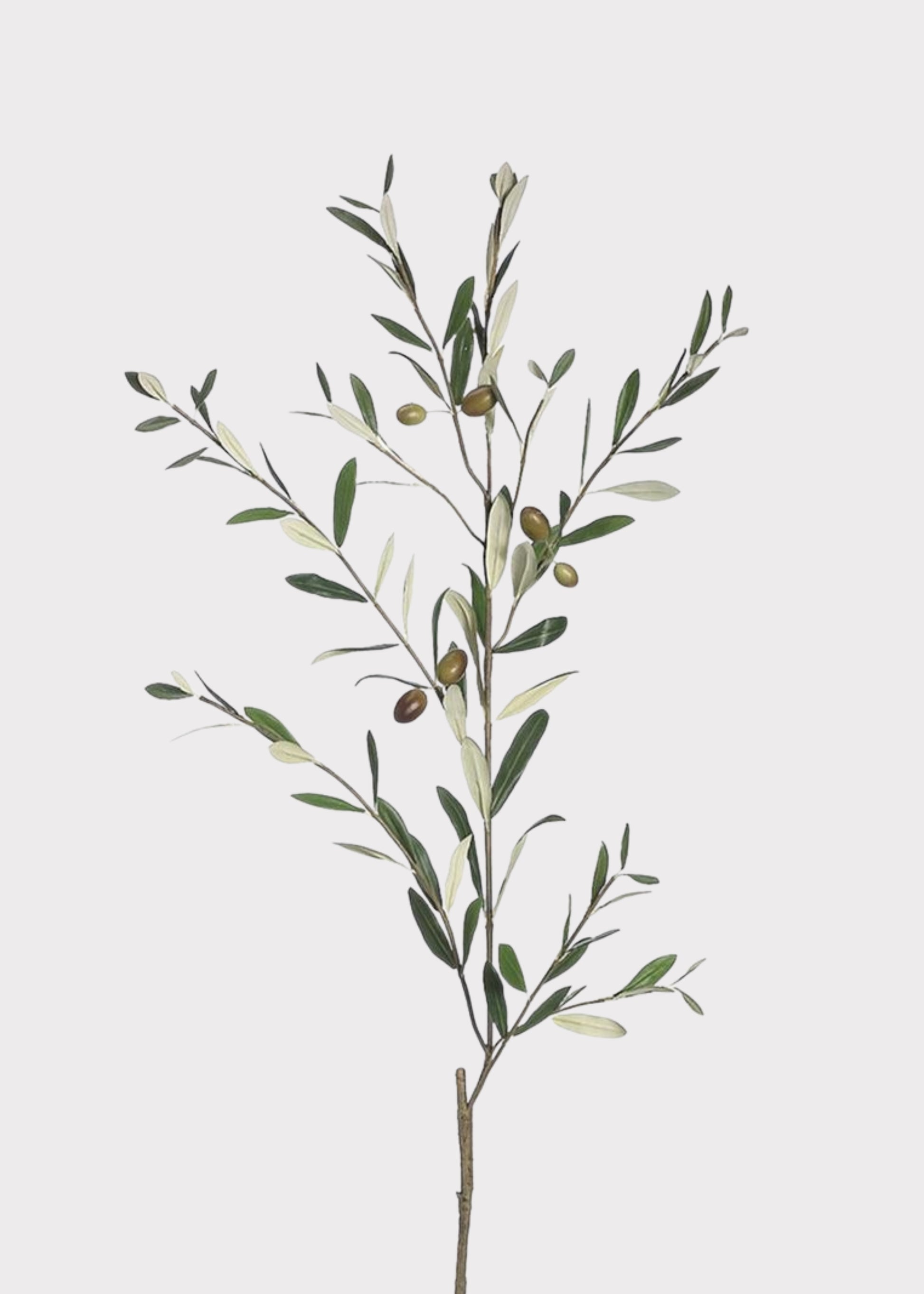Deluxe Artificial Olive Leaves Branch